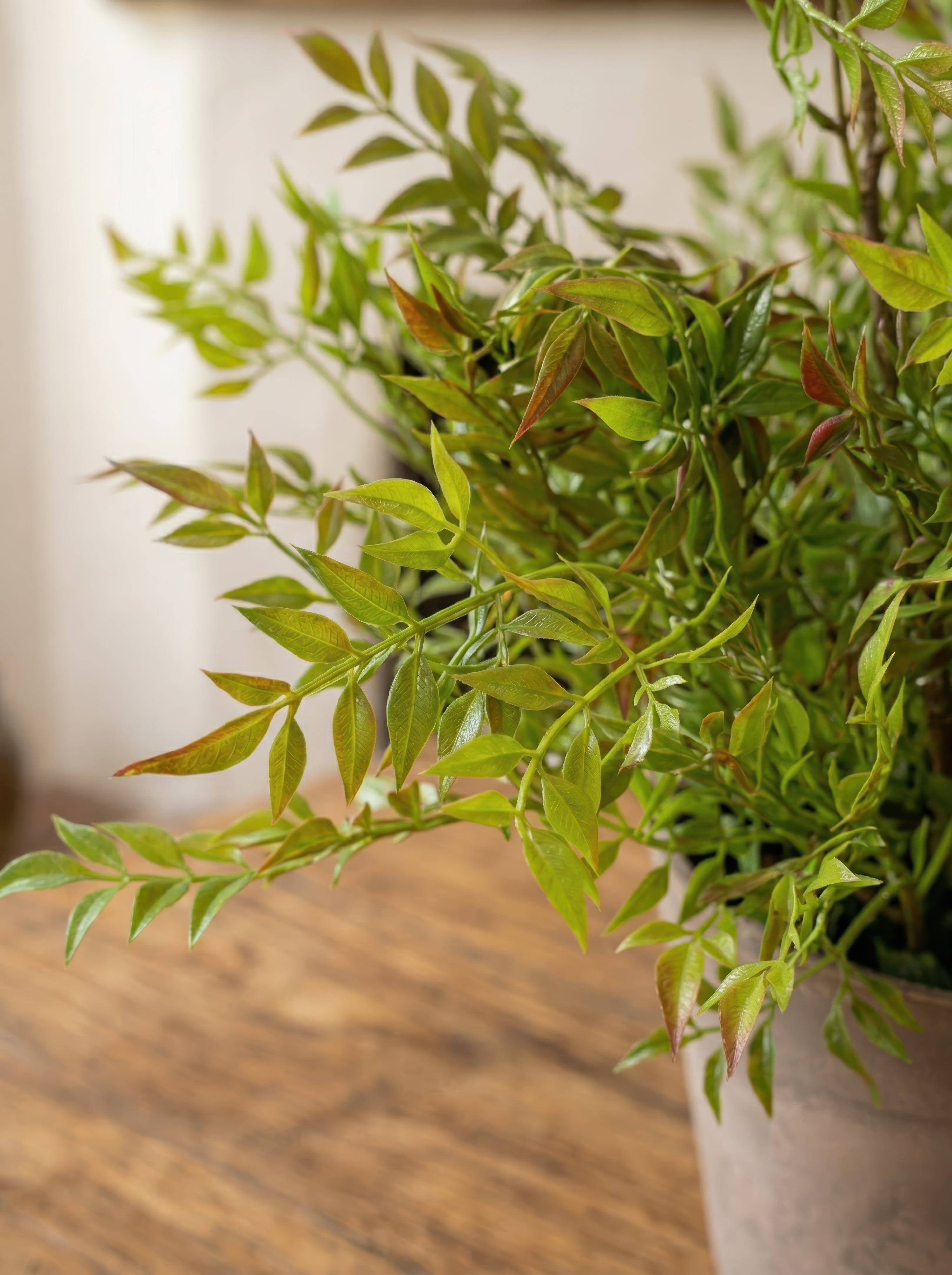 21.6" Artificial Red-Tipped Nandina - Potted Greenery for Rustic Home Decor