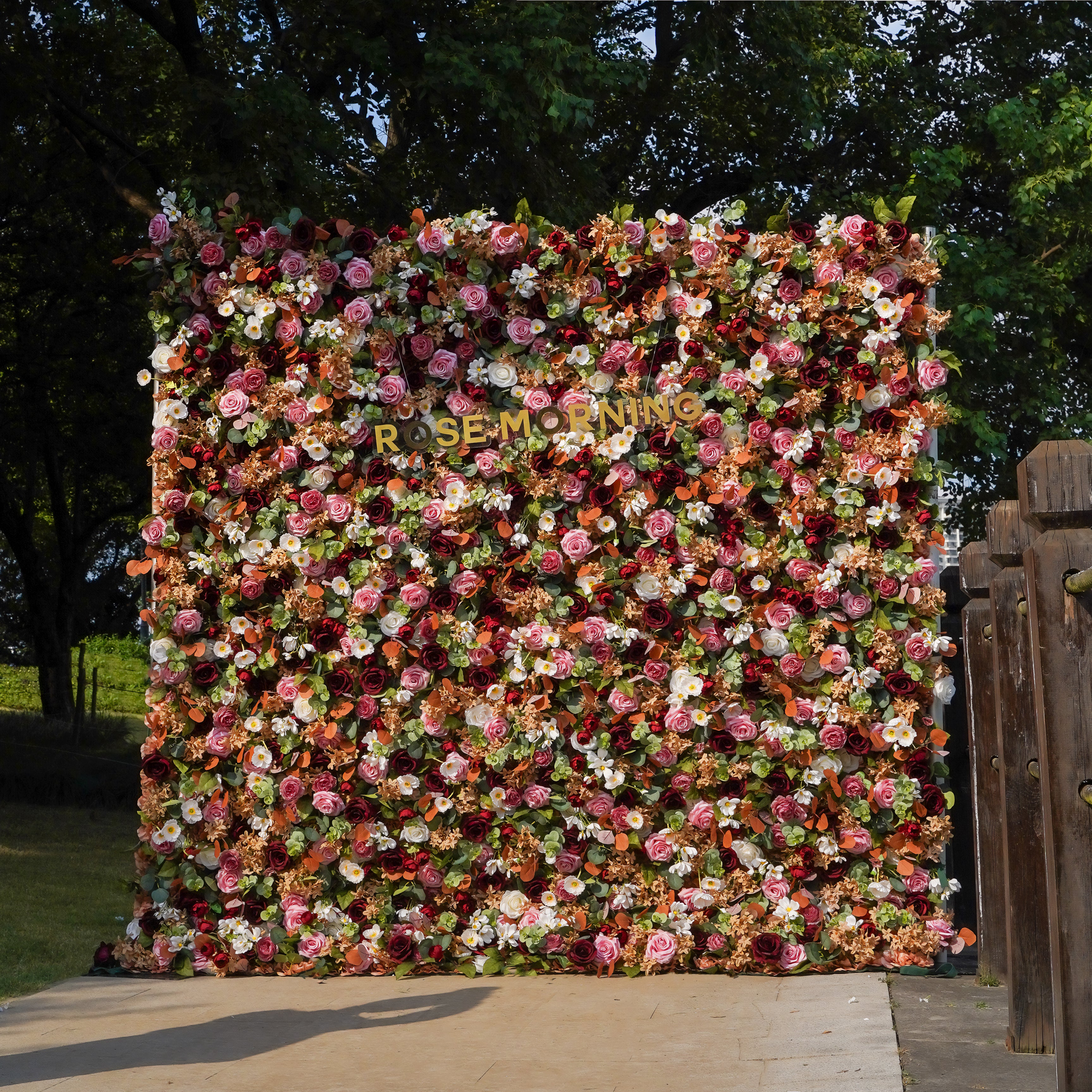 Phoenix 5D Fabric Artificial rolling up curtain flower wall Rose Morning