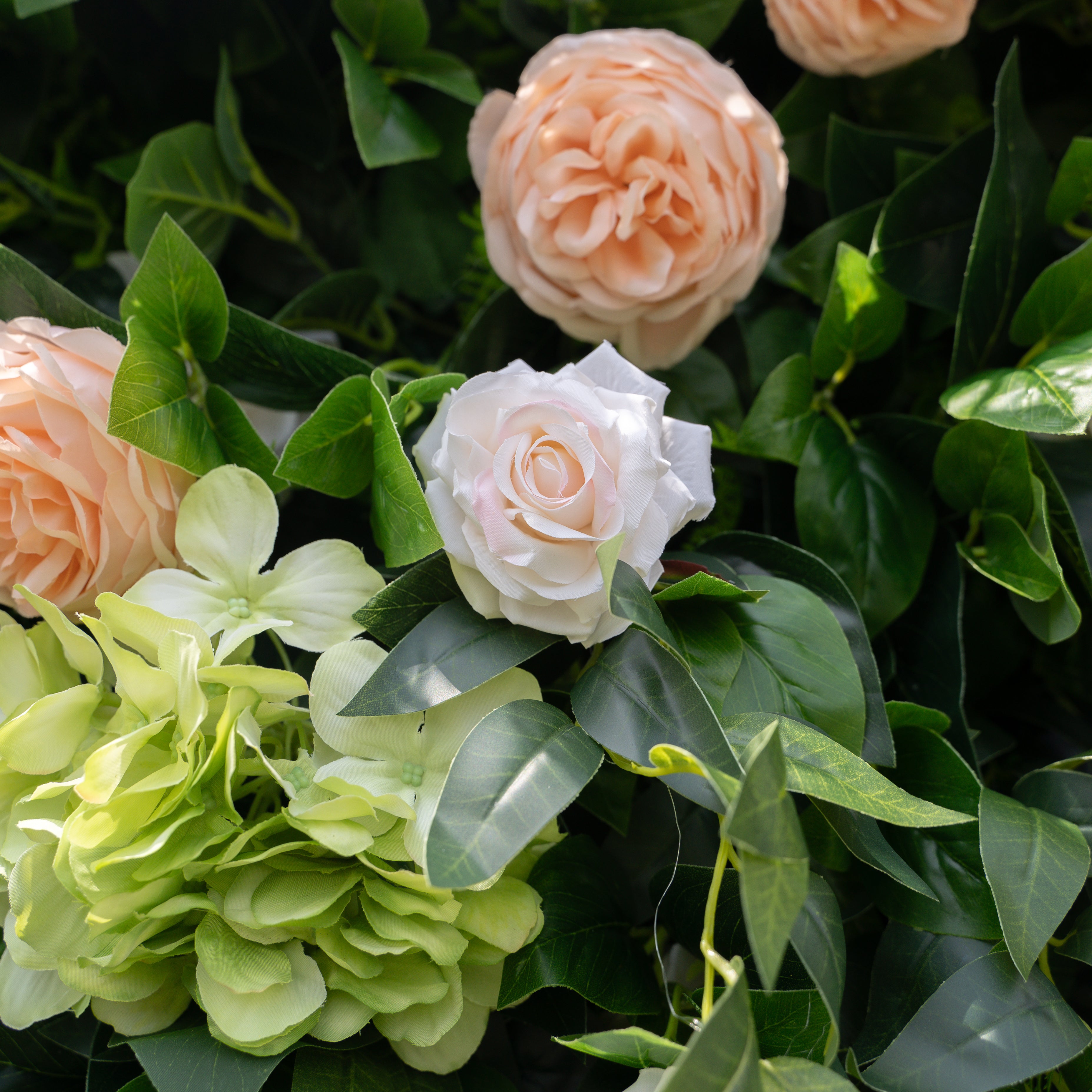 Poppy:5D Fabric Artificial rolling up curtain flower wall (Ready to ship) Rose Morning