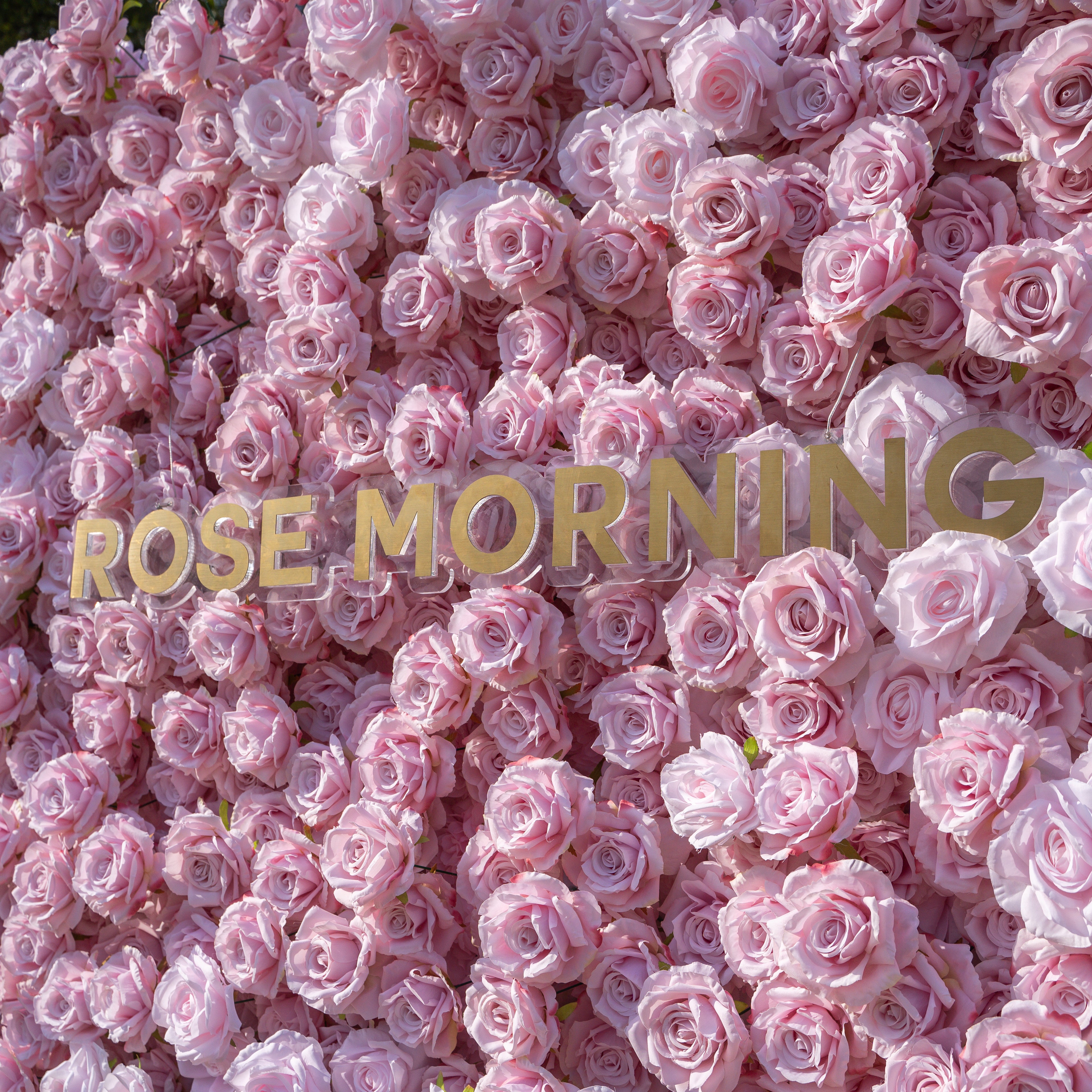 Promise:3D Fabric Artificial rolling up curtain flower wall