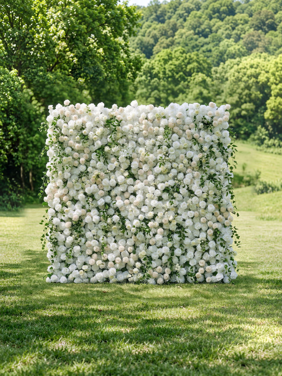Lioraen: 5D Timeless Ivory and Light Champagne Flower Wall with Hanging Greenery Roll-Up Fabric Backdrop for Garden Party & Event