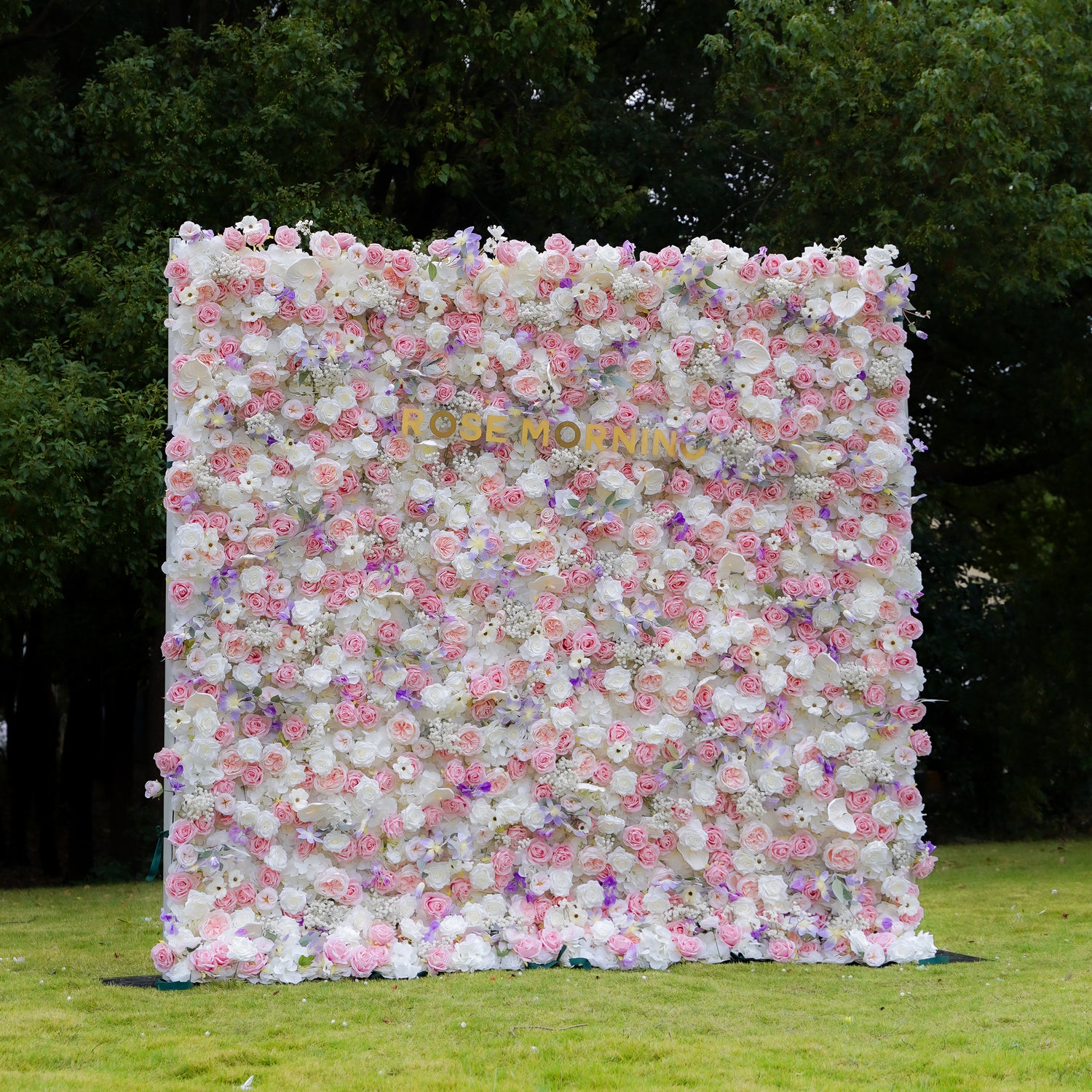 Rosalind 5D Fabric Artificial rolling up curtain flower wall Rose Morning