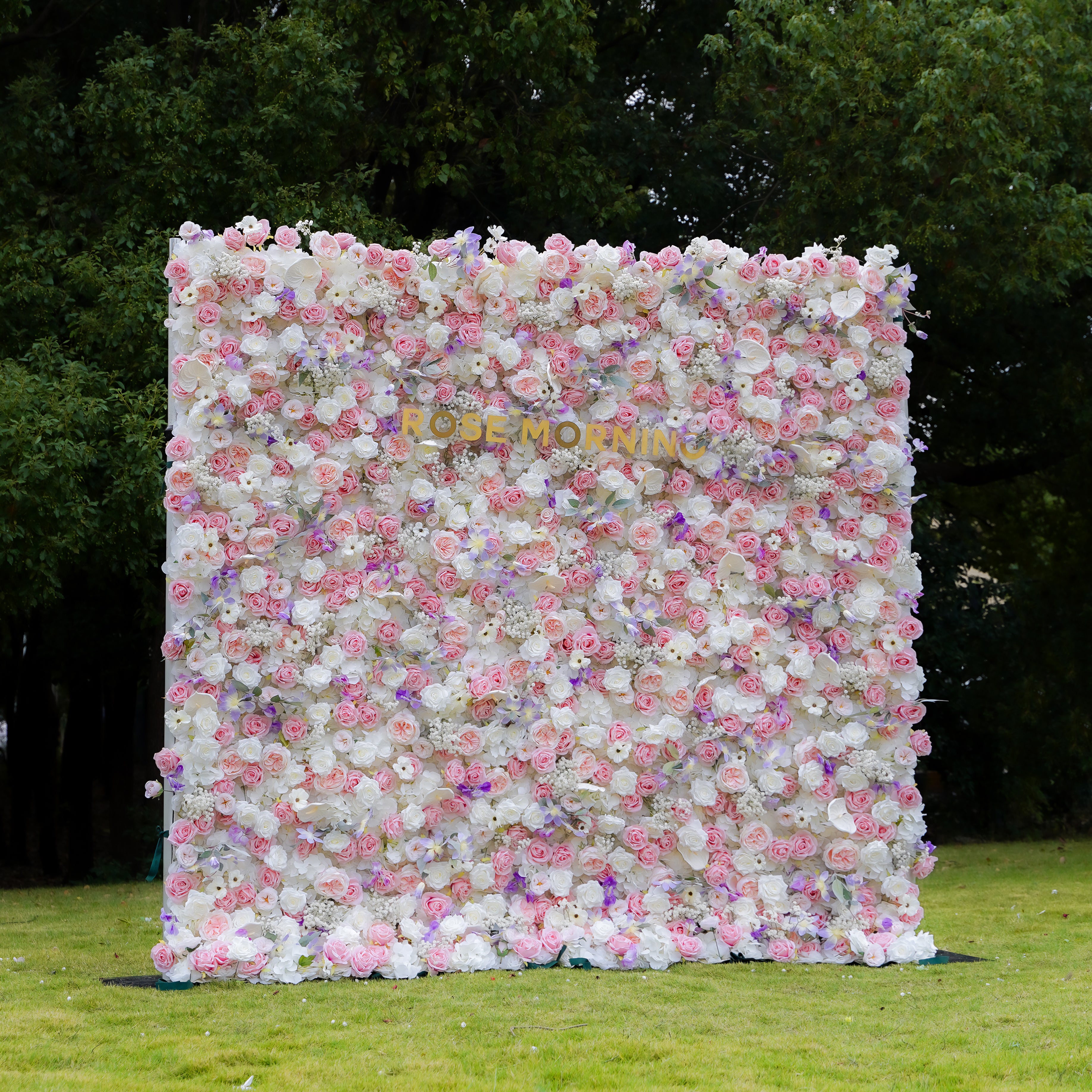 Rosalind 5D Fabric Artificial rolling up curtain flower wall Rose Morning