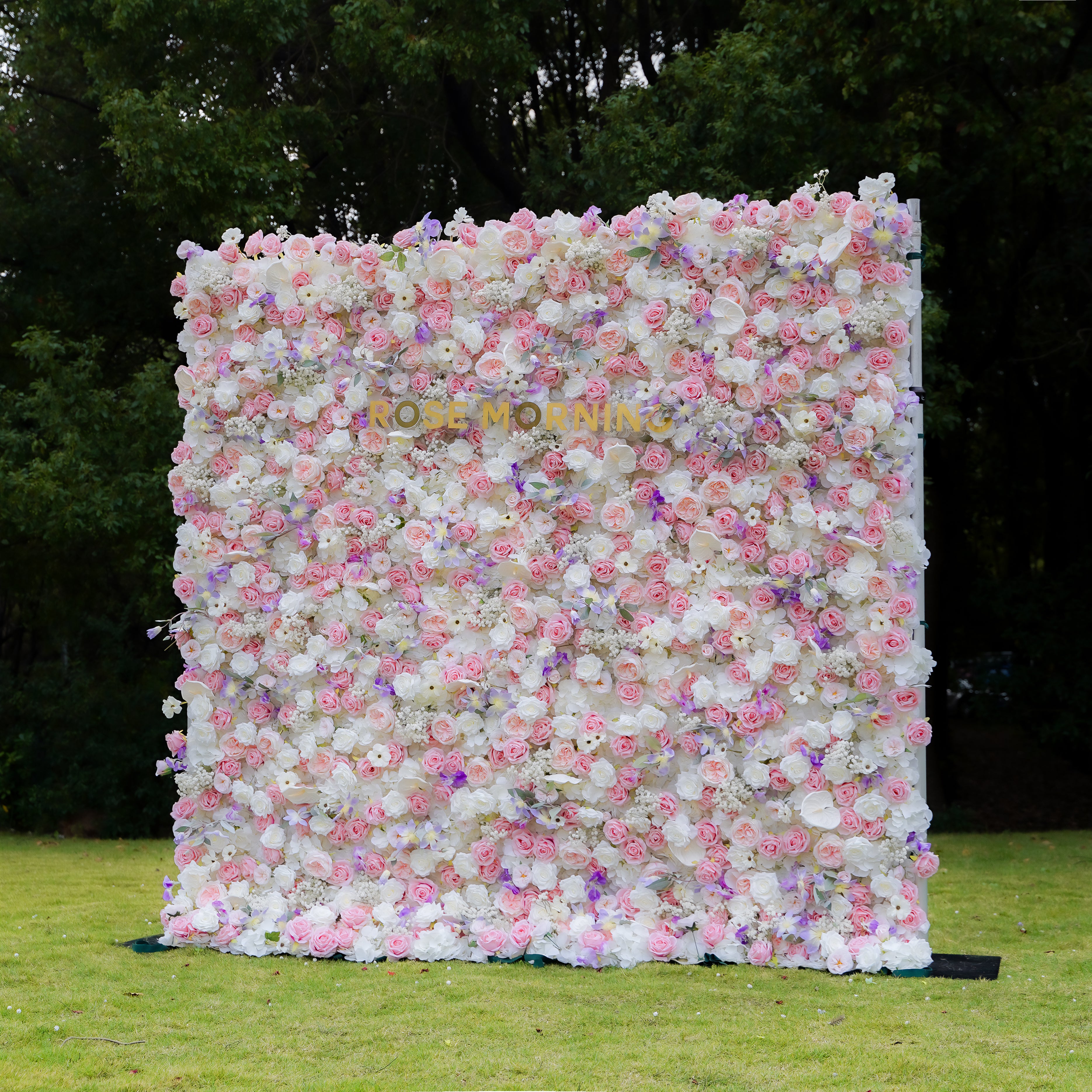 Rosalind 5D Fabric Artificial rolling up curtain flower wall Rose Morning