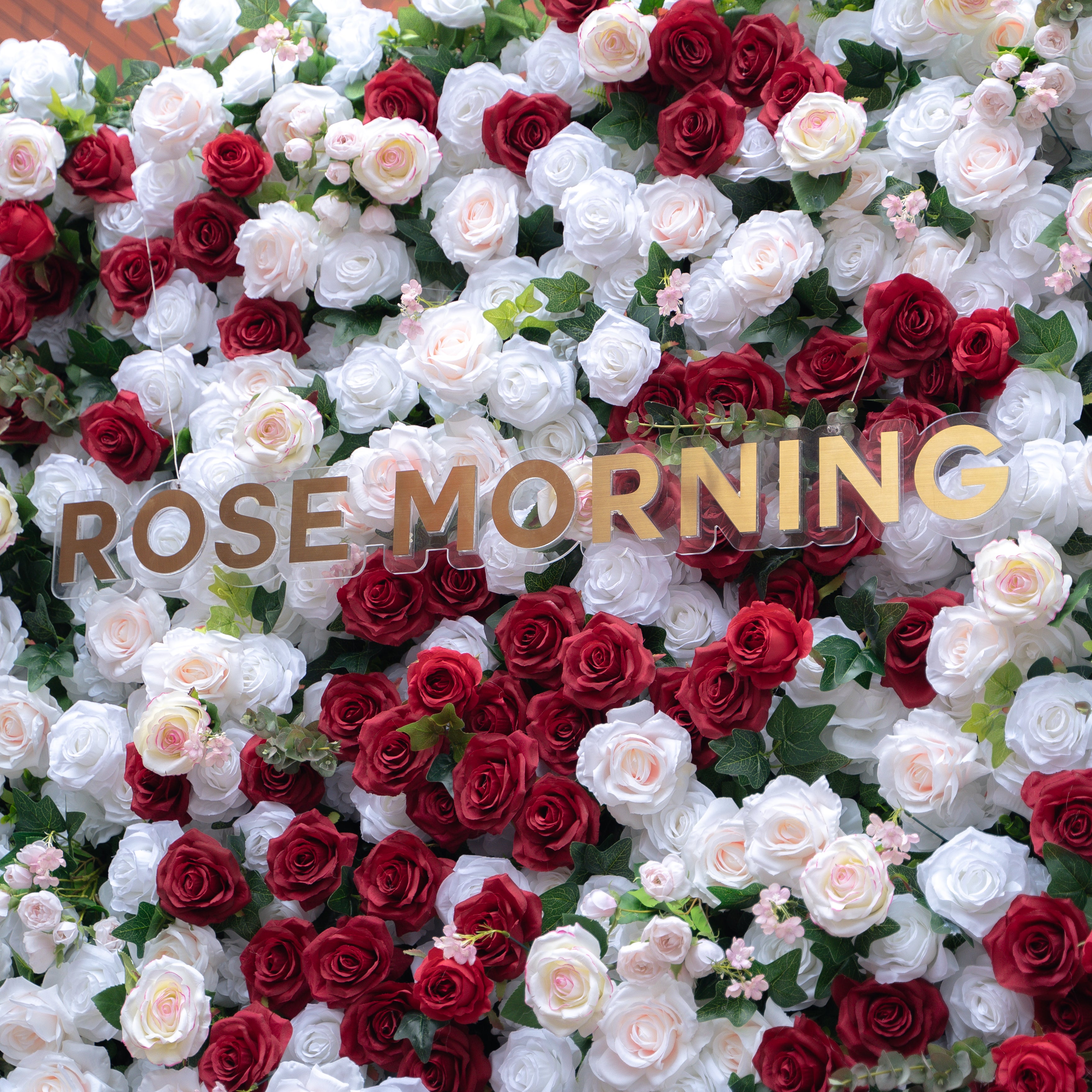 Rosita:5D Fabric Artificial rolling up curtain flower wall (Ready to ship) Rose Morning