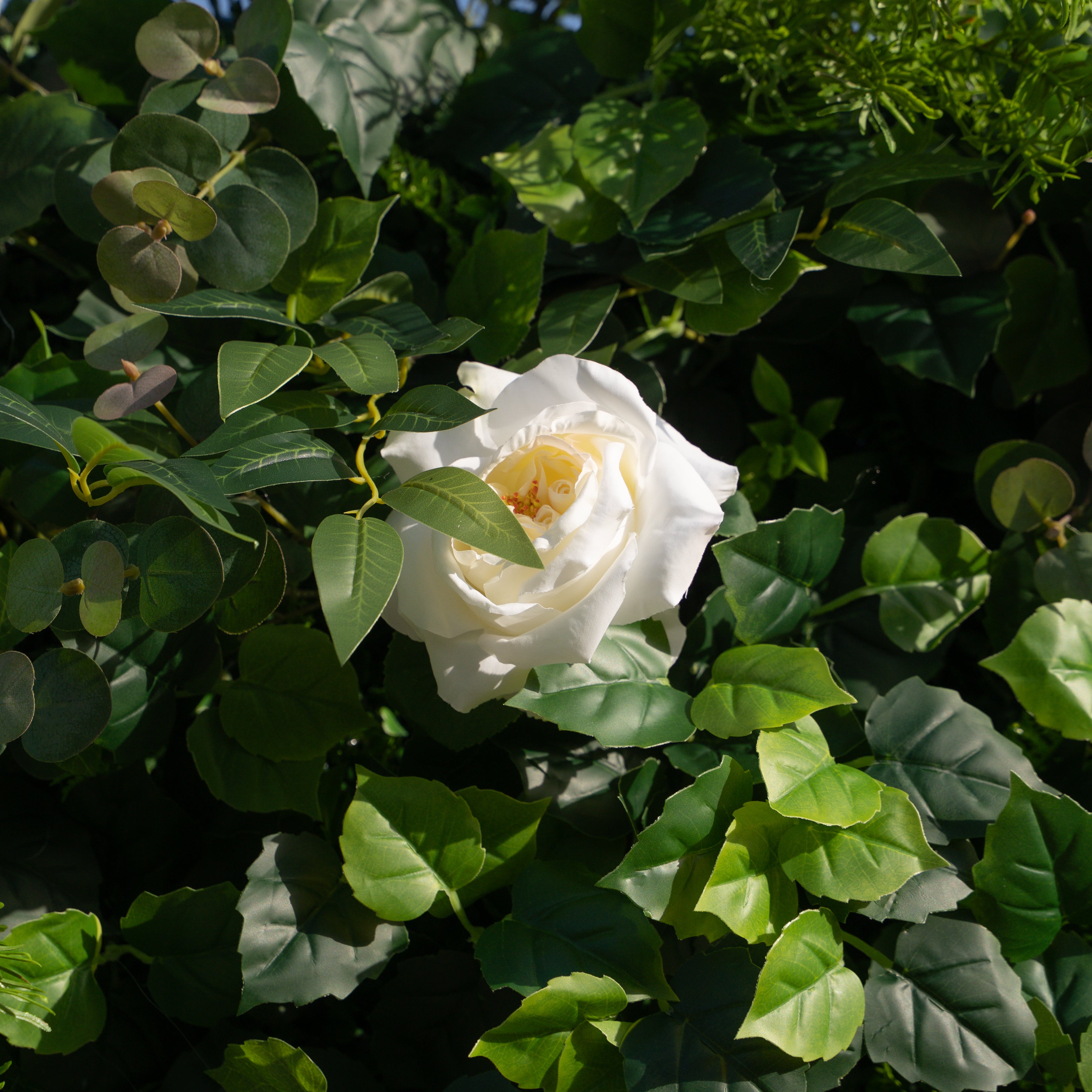 Sandalwood:3D Fabric Artificial rolling up curtain flower wall