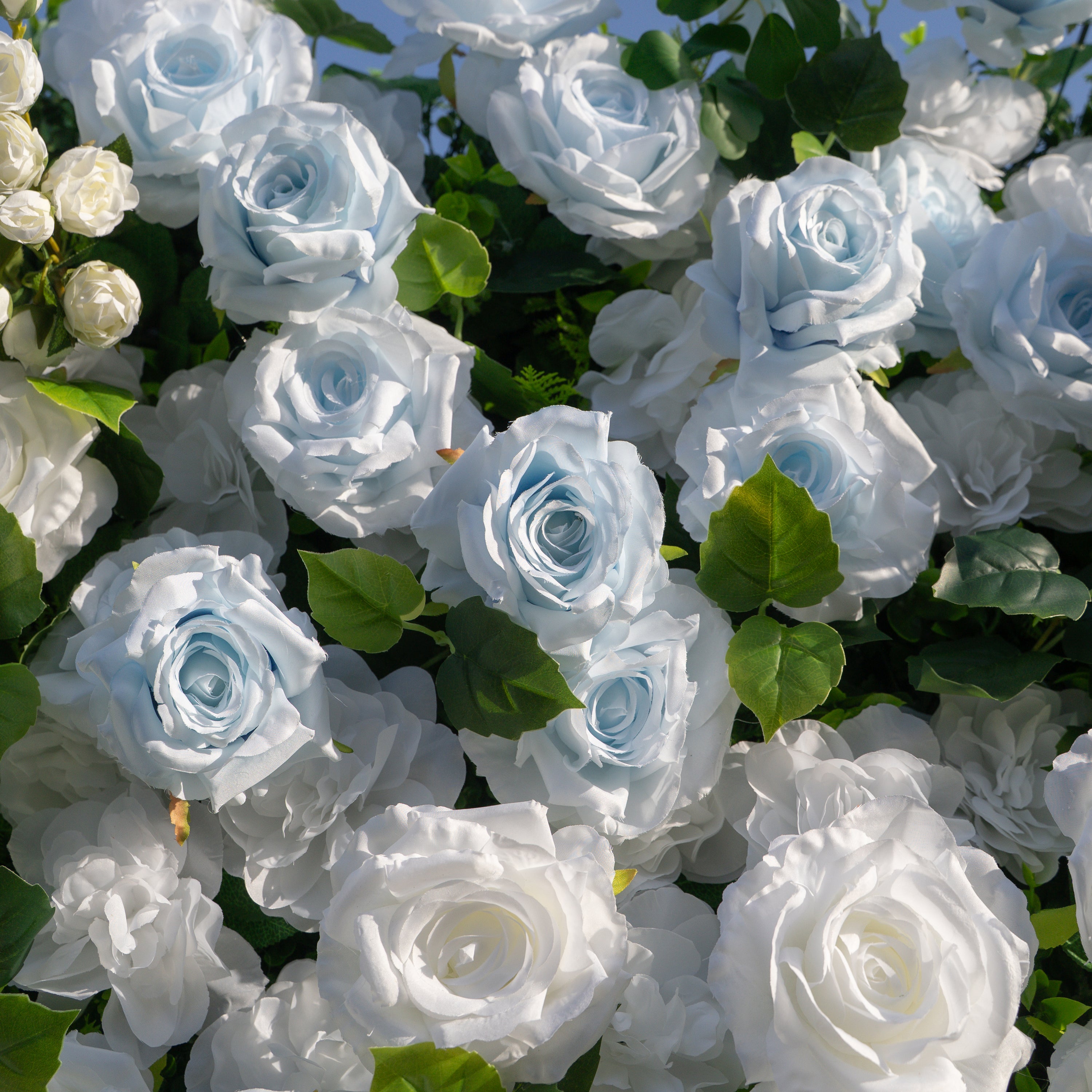 Seasalt:3D Fabric Artificial rolling up curtain flower wall