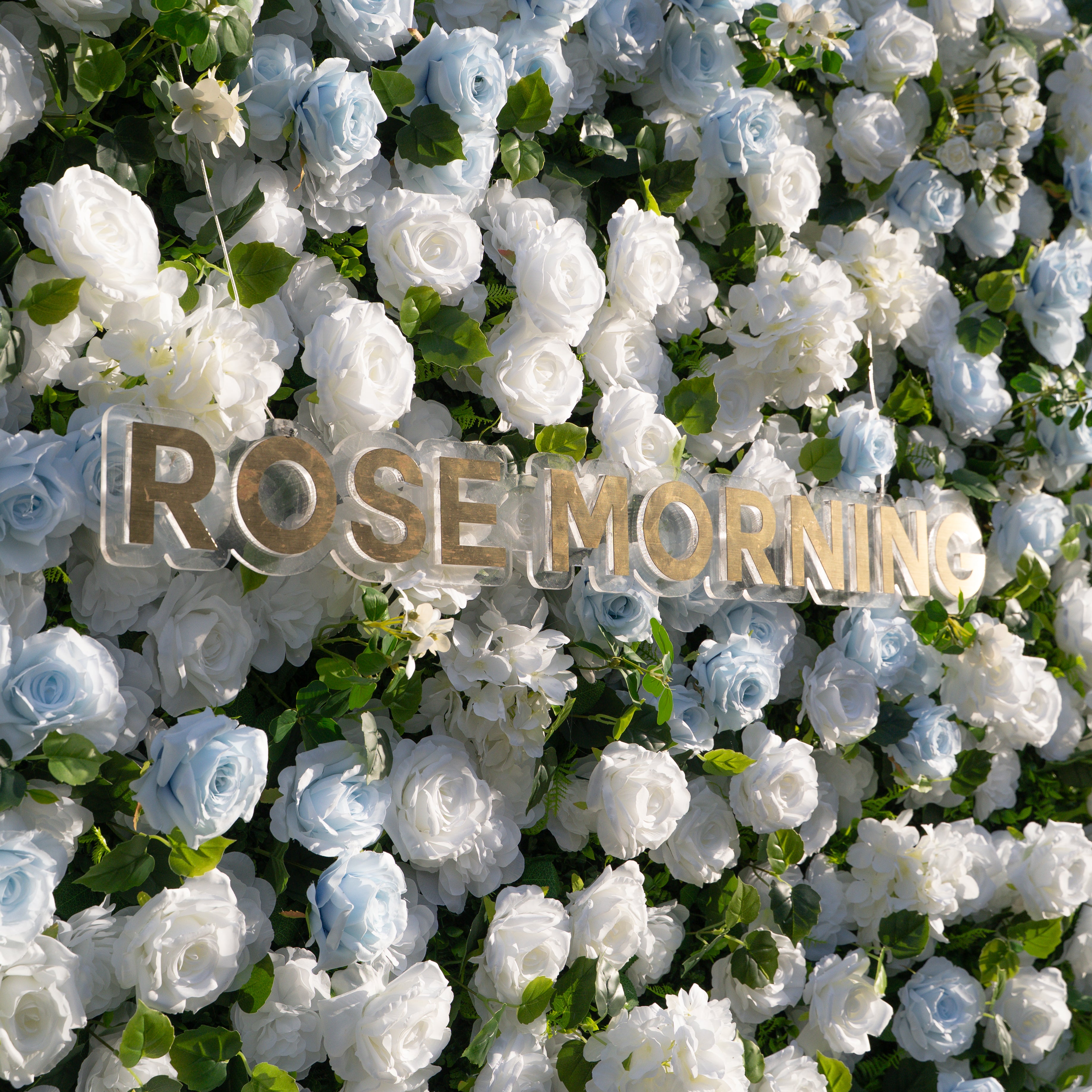 Seasalt:3D Fabric Artificial rolling up curtain flower wall