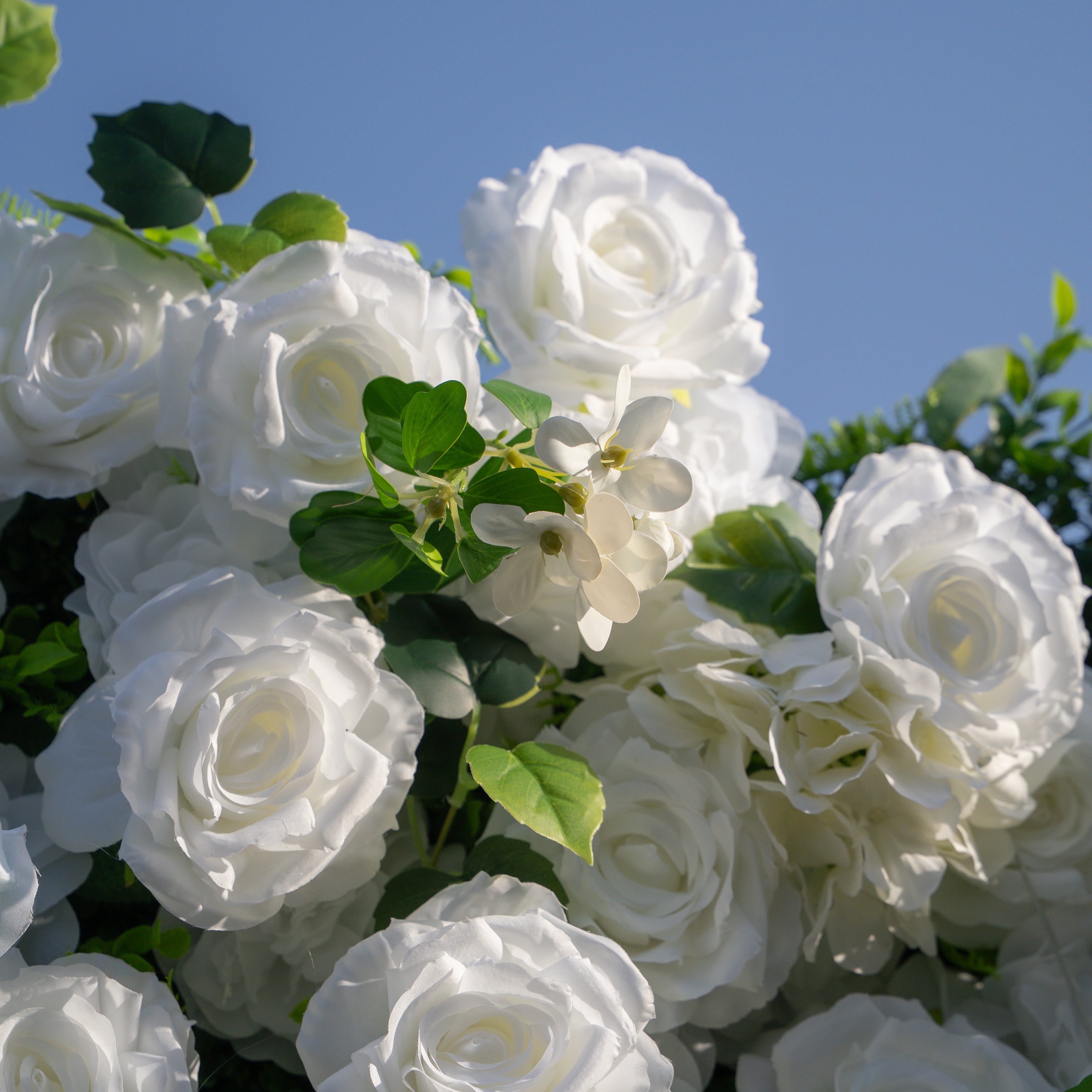 Seasalt:3D Fabric Artificial rolling up curtain flower wall