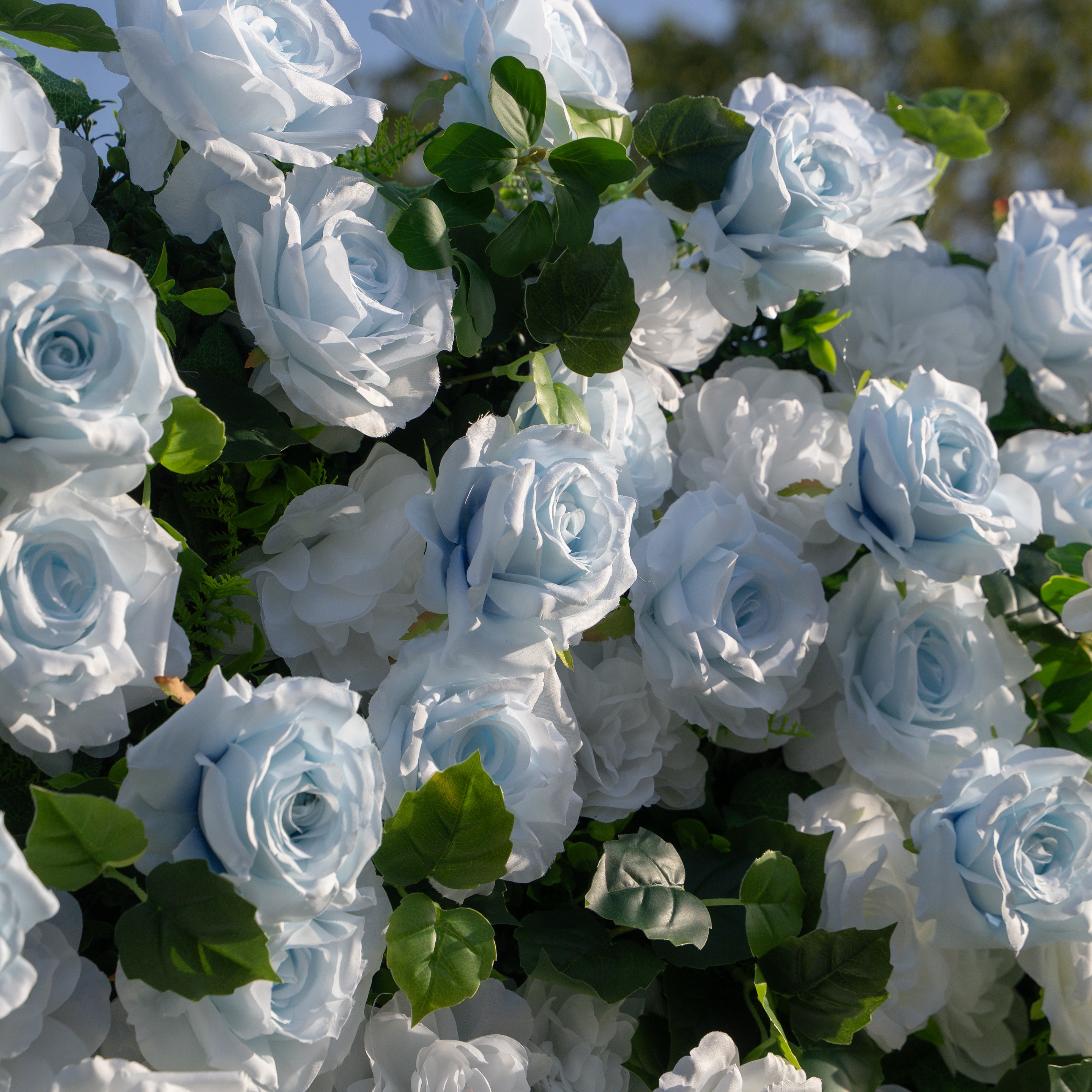 Seasalt:3D Fabric Artificial rolling up curtain flower wall