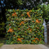 Shelley 5D Fabric Artificial rolling up curtain flower wall Rose Morning