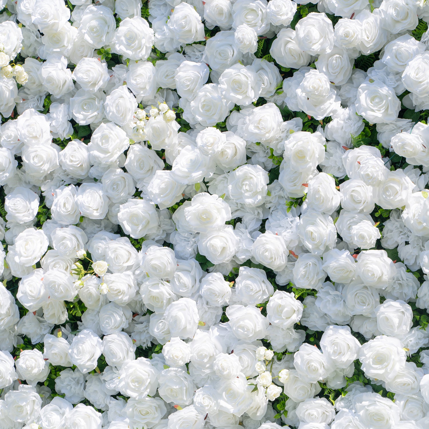 Shy 3D White Flower Wall - Minimalist Wedding Backdrop 8ft×8ft (Ready to ship-Only USA)