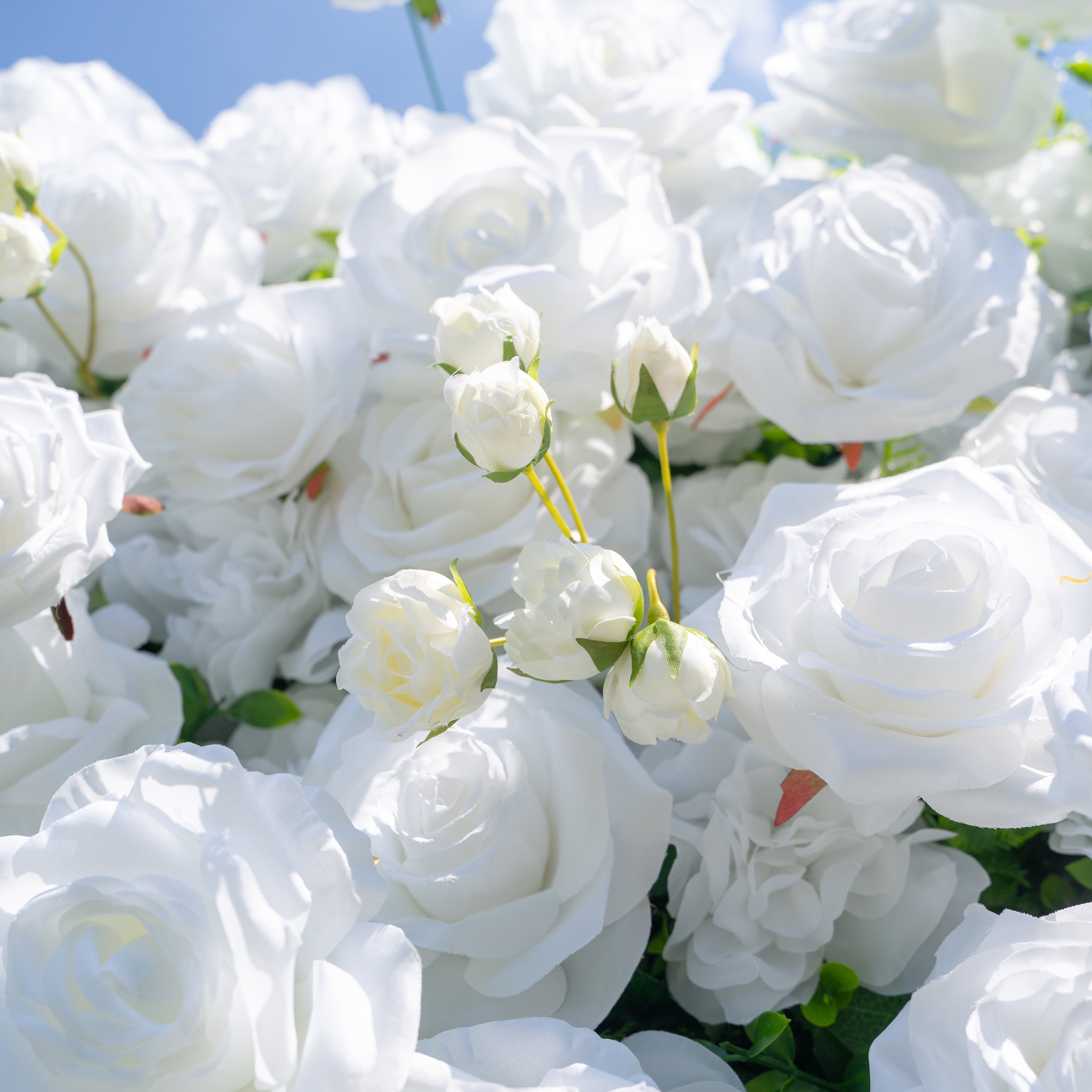 Shy 3D White Flower Wall - Minimalist Wedding Backdrop 8ft×8ft