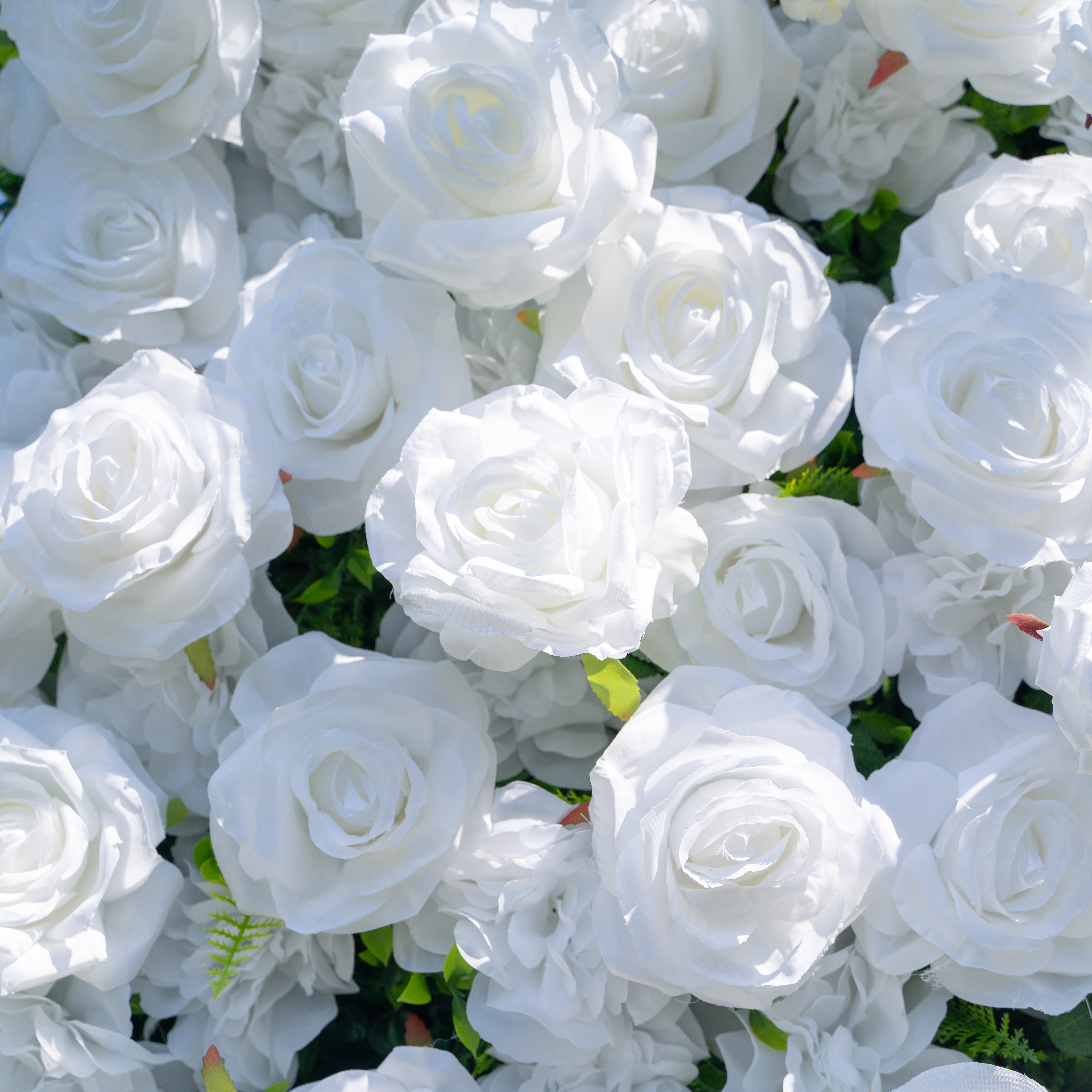 Shy 3D White Flower Wall - Minimalist Wedding Backdrop 8ft×8ft
