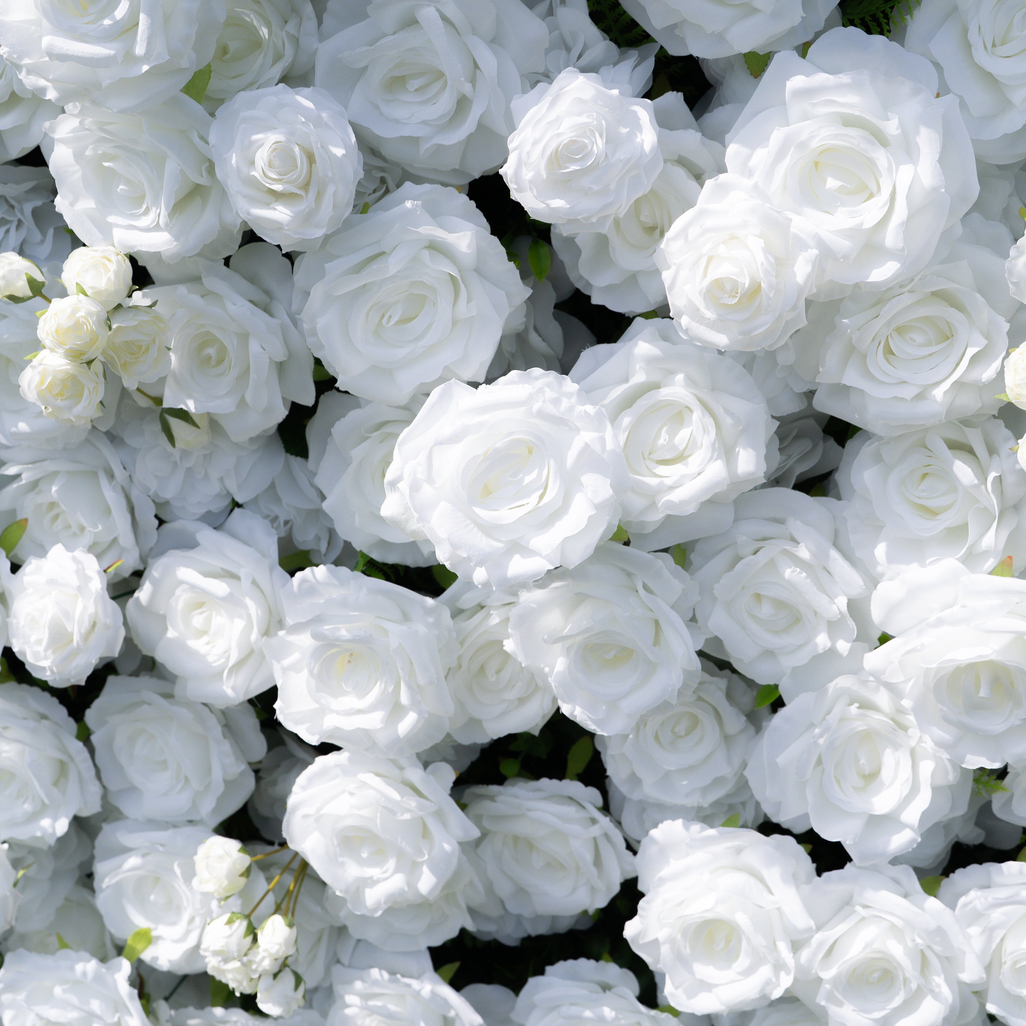 Shy 3D White Flower Wall - Minimalist Wedding Backdrop