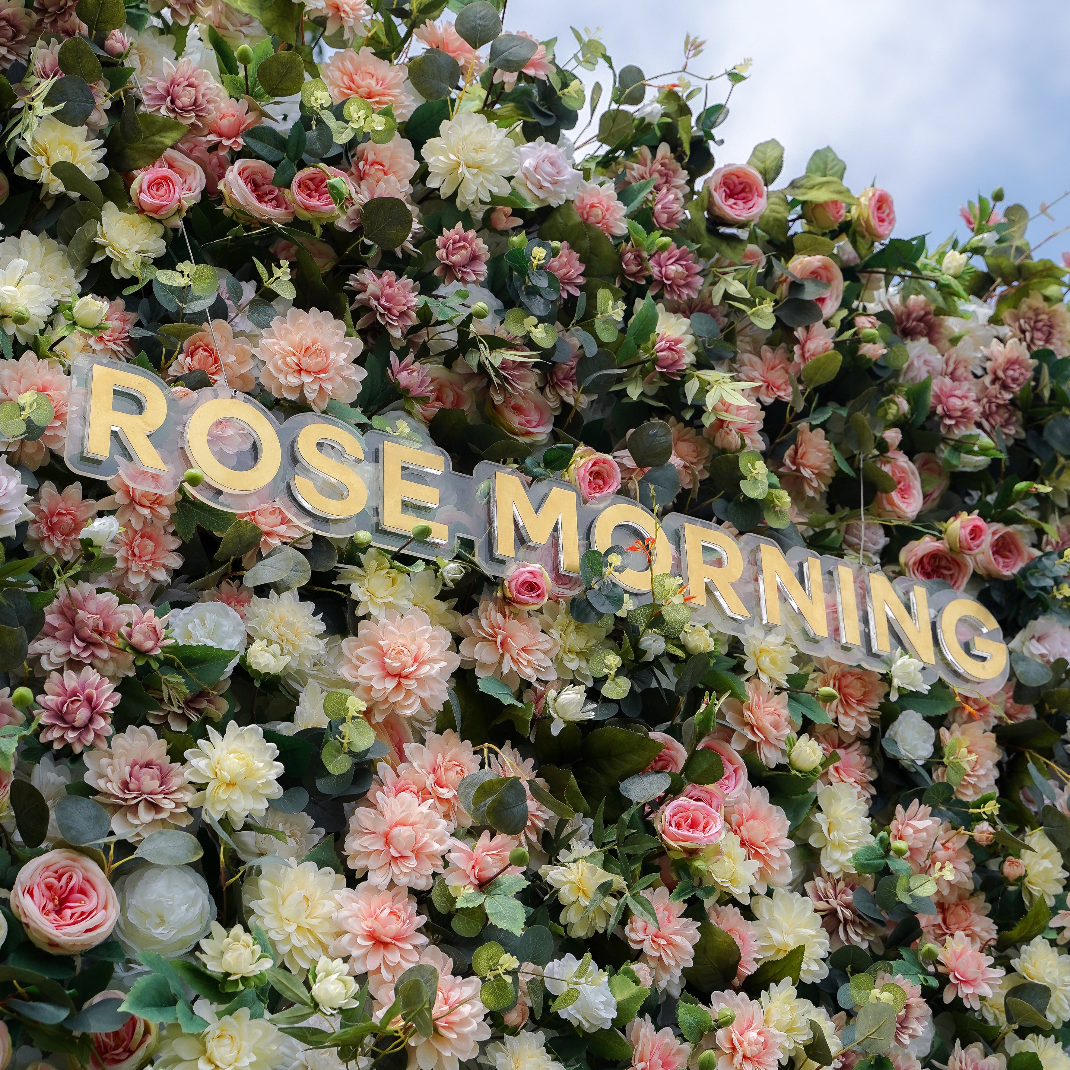 Skylar 5D Fabric Artificial rolling up curtain flower wall Rose Morning