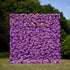 Sofia: 3D Fabric Artificial Flower Wall Rolling Up Curtain Flower Wall R199 - 8ft*8ft Rose Morning