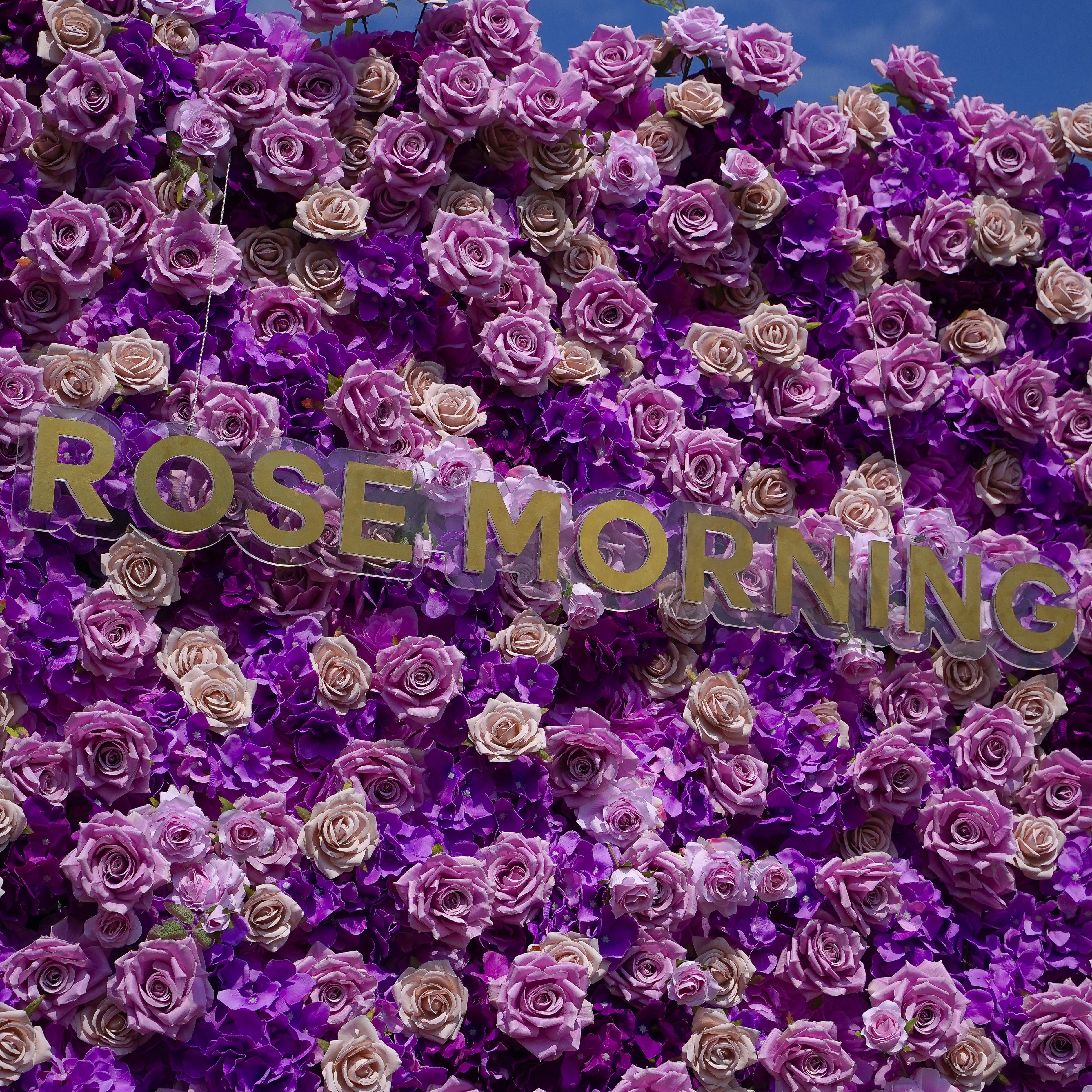 Sofia: 3D Fabric Artificial Flower Wall Rolling Up Curtain Flower Wall R199 - 8ft*8ft Rose Morning