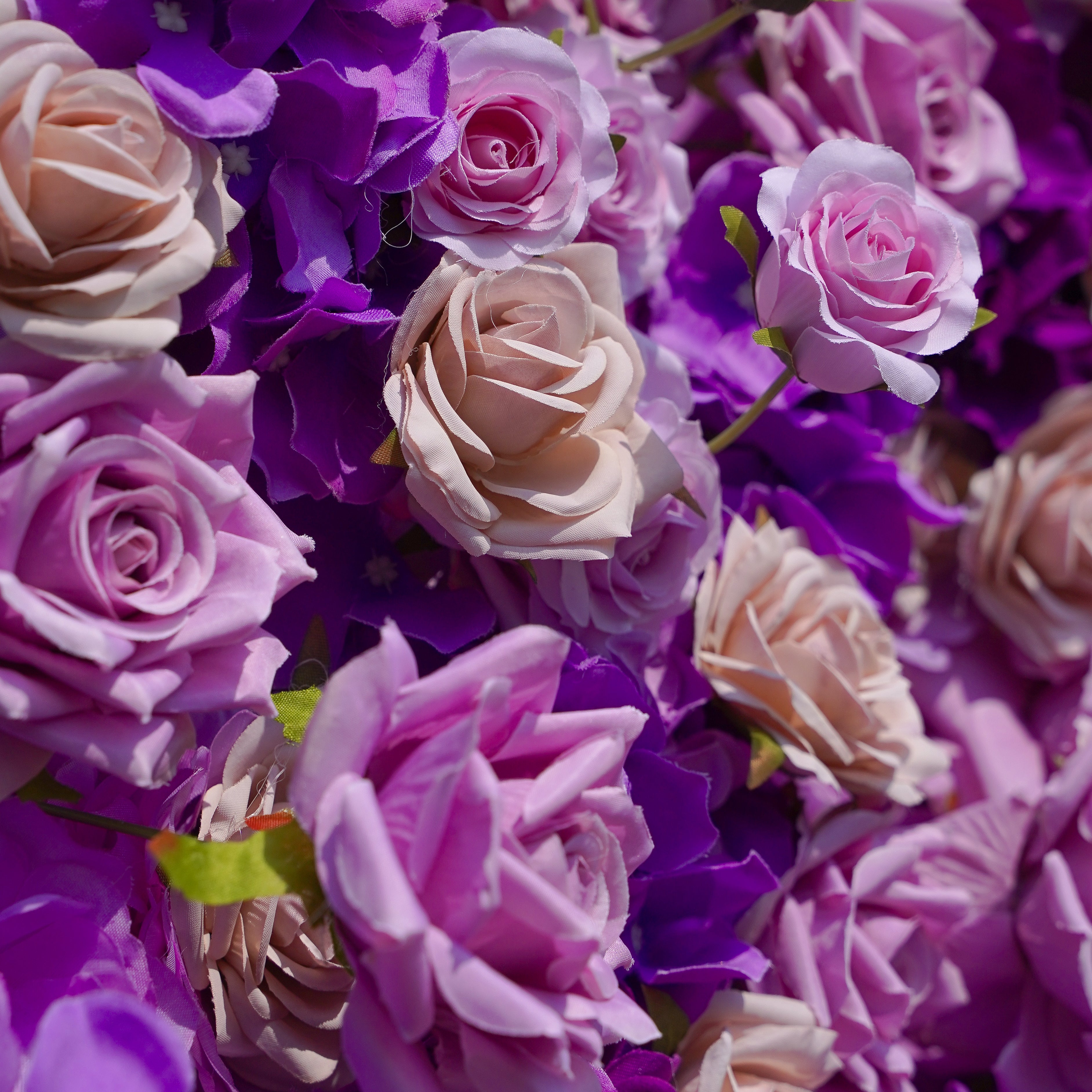 Sofia: 3D Fabric Artificial Flower Wall Rolling Up Curtain Flower Wall R199 - 8ft*8ft Rose Morning