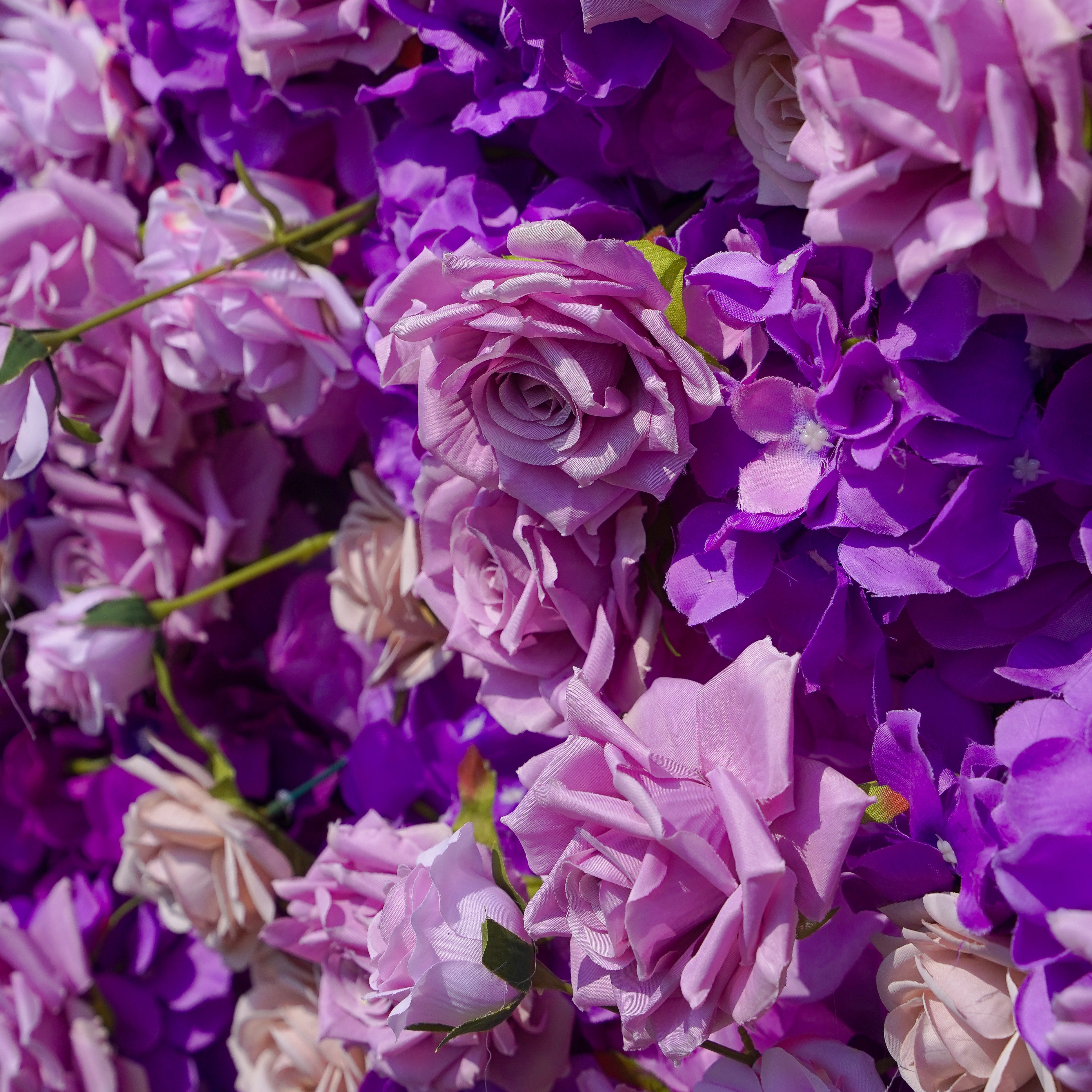 Sofia: 3D Fabric Artificial Flower Wall Rolling Up Curtain Flower Wall R199 - 8ft*8ft Rose Morning