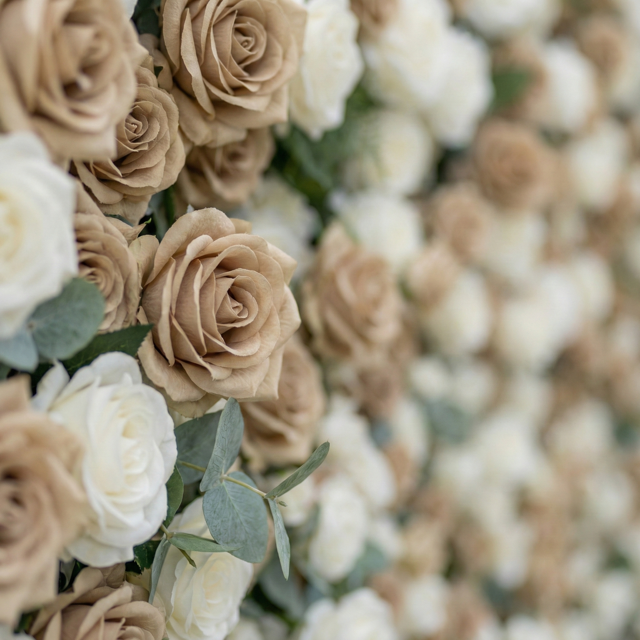 Sorcha: 5D Luxury Latte & Cream Silk Rose Flower Wall Roll-Up Fabric Backdrop for Grand Manor Weddings & Events