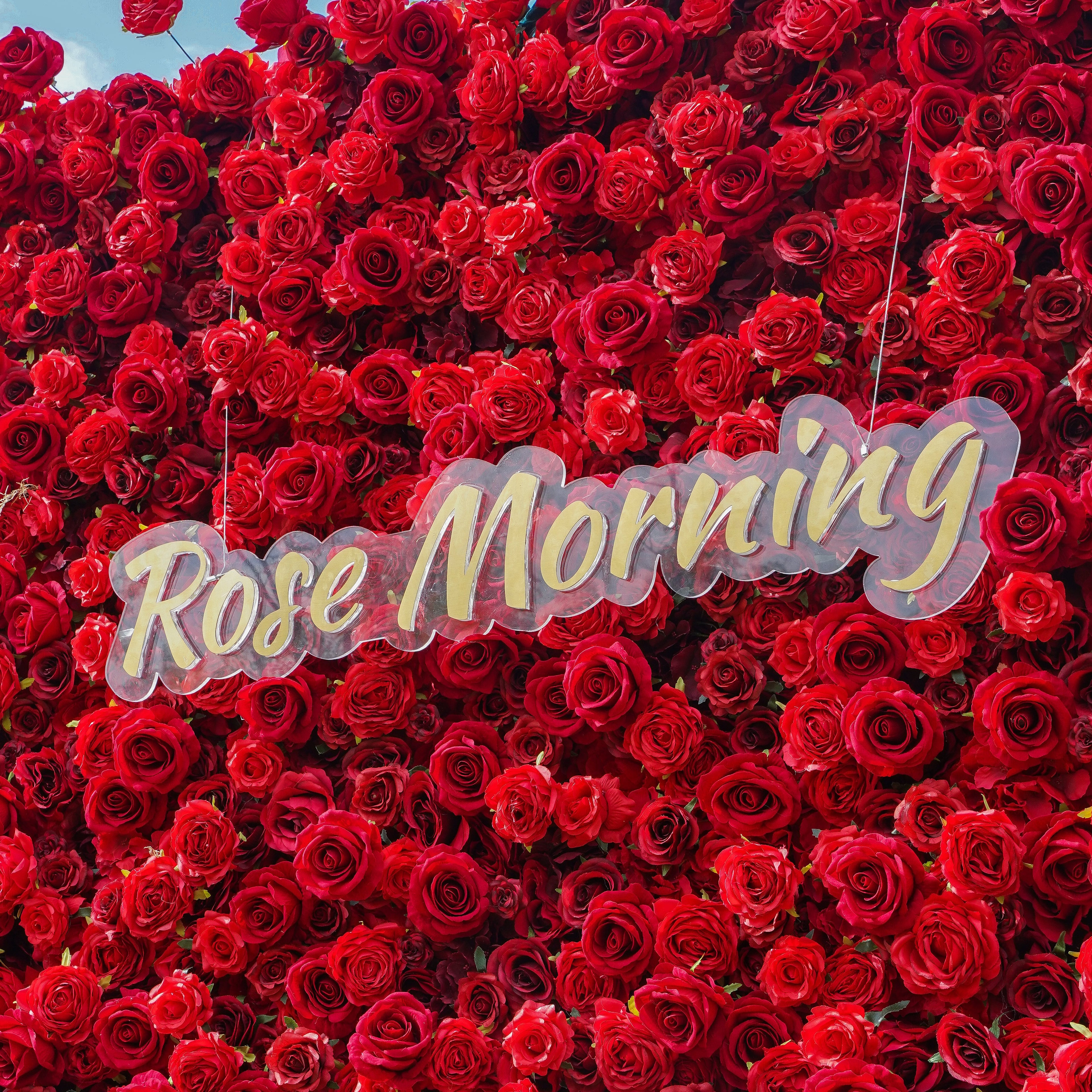 Rose Morning“The flower walls are made of artificial flowers in various colors, layered at different levels to create a lush, elegant and natural look. The exclusive zipper design and roll-up design make it easy to install and remove.”