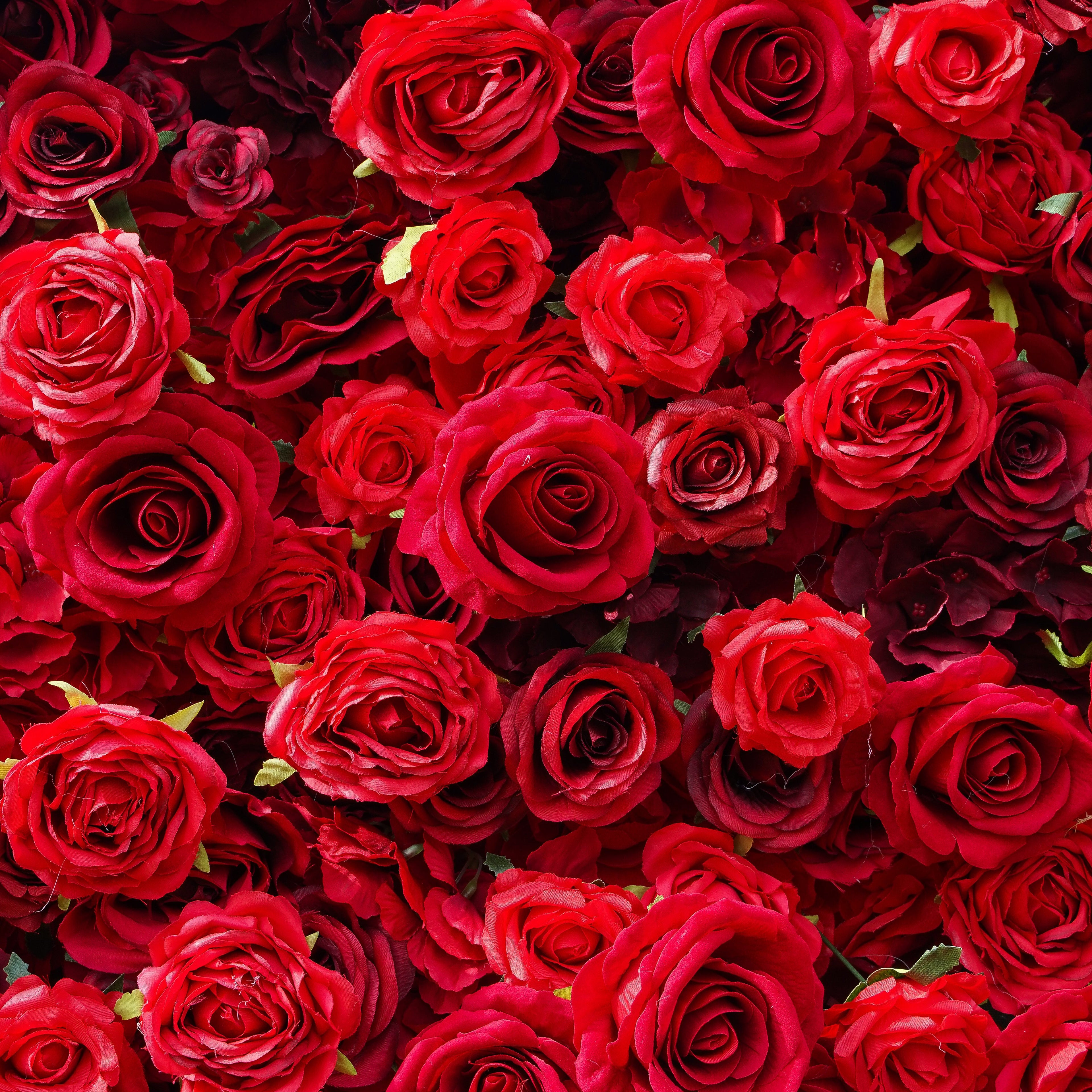Rose Morning“The flower walls are made of artificial flowers in various colors, layered at different levels to create a lush, elegant and natural look. The exclusive zipper design and roll-up design make it easy to install and remove.”