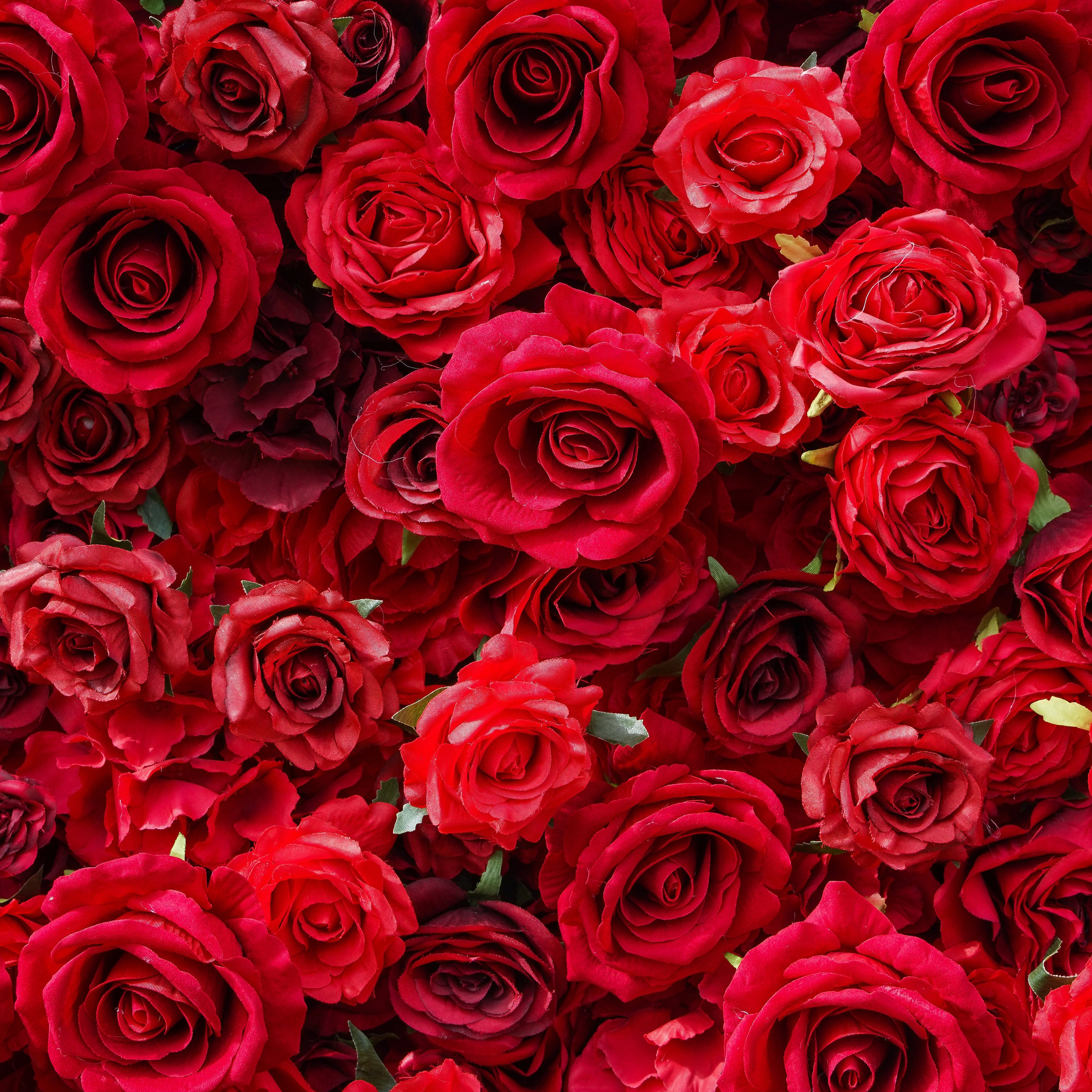 Rose Morning“The flower walls are made of artificial flowers in various colors, layered at different levels to create a lush, elegant and natural look. The exclusive zipper design and roll-up design make it easy to install and remove.”