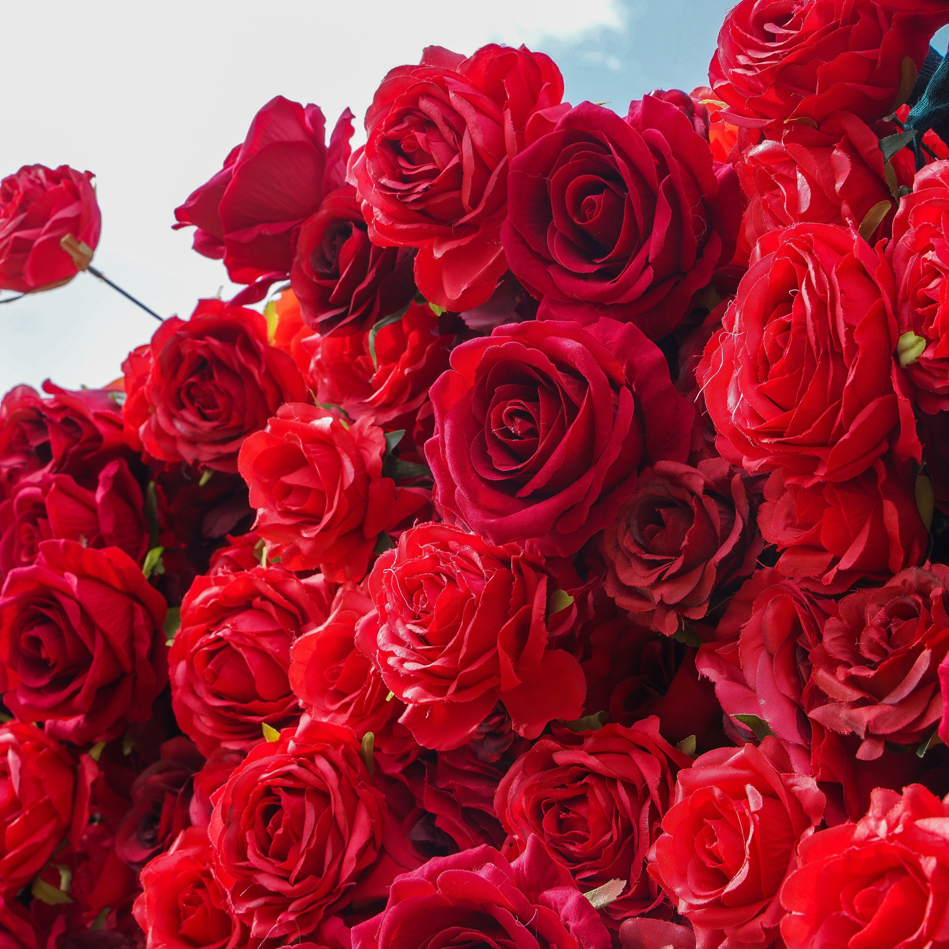 Rose Morning“The flower walls are made of artificial flowers in various colors, layered at different levels to create a lush, elegant and natural look. The exclusive zipper design and roll-up design make it easy to install and remove.”