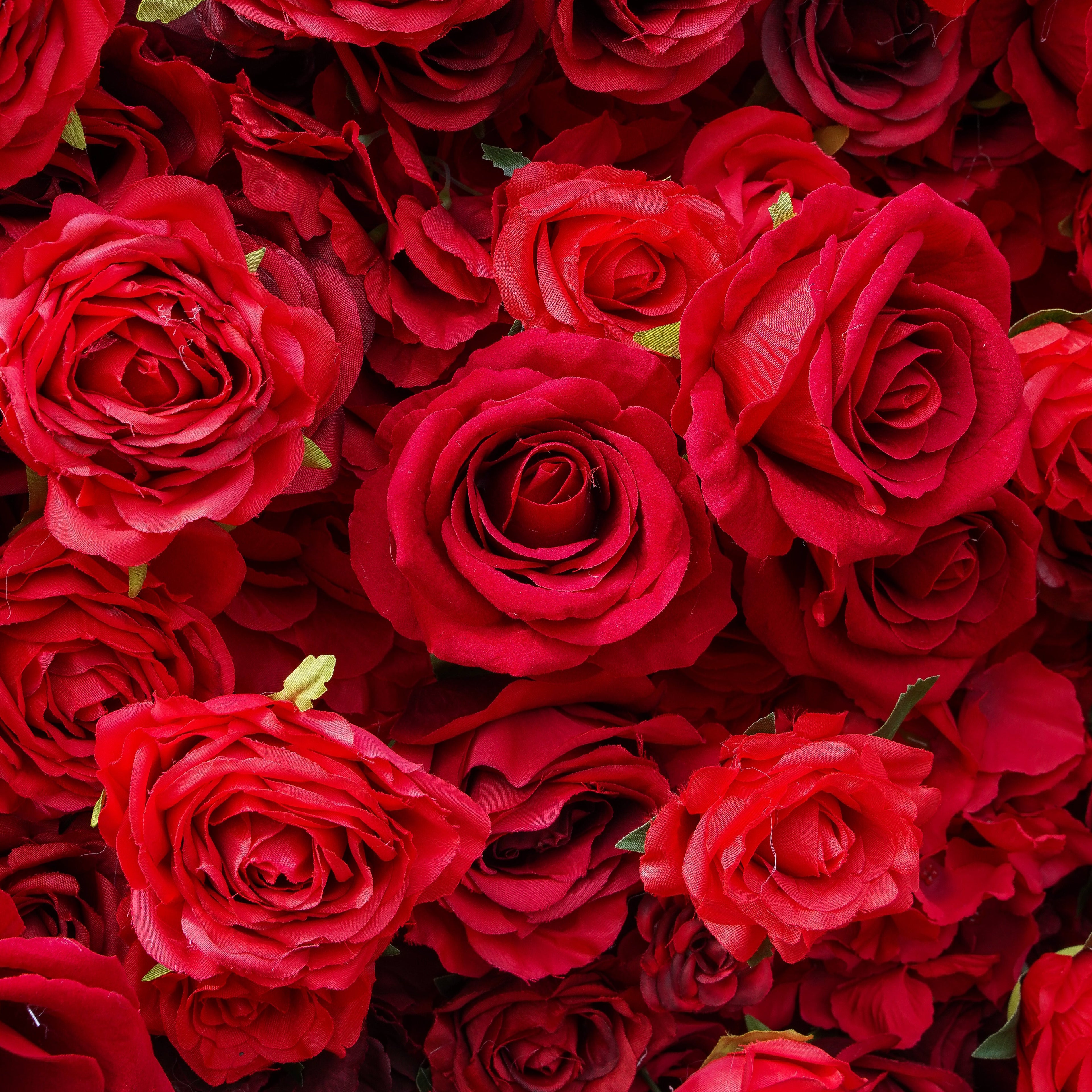 Rose Morning“The flower walls are made of artificial flowers in various colors, layered at different levels to create a lush, elegant and natural look. The exclusive zipper design and roll-up design make it easy to install and remove.”