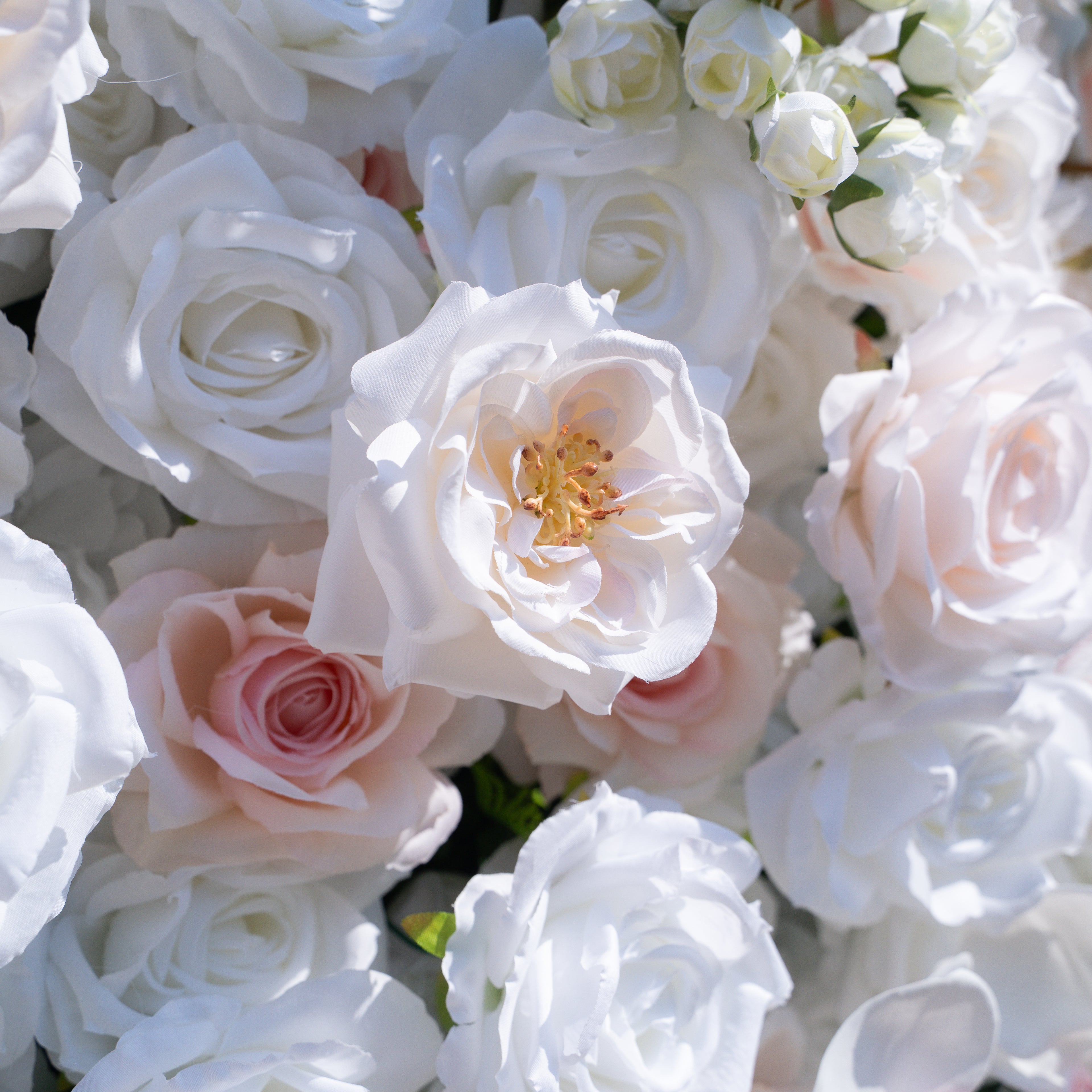 Tiara:5D Fabric Artificial rolling up curtain flower wall