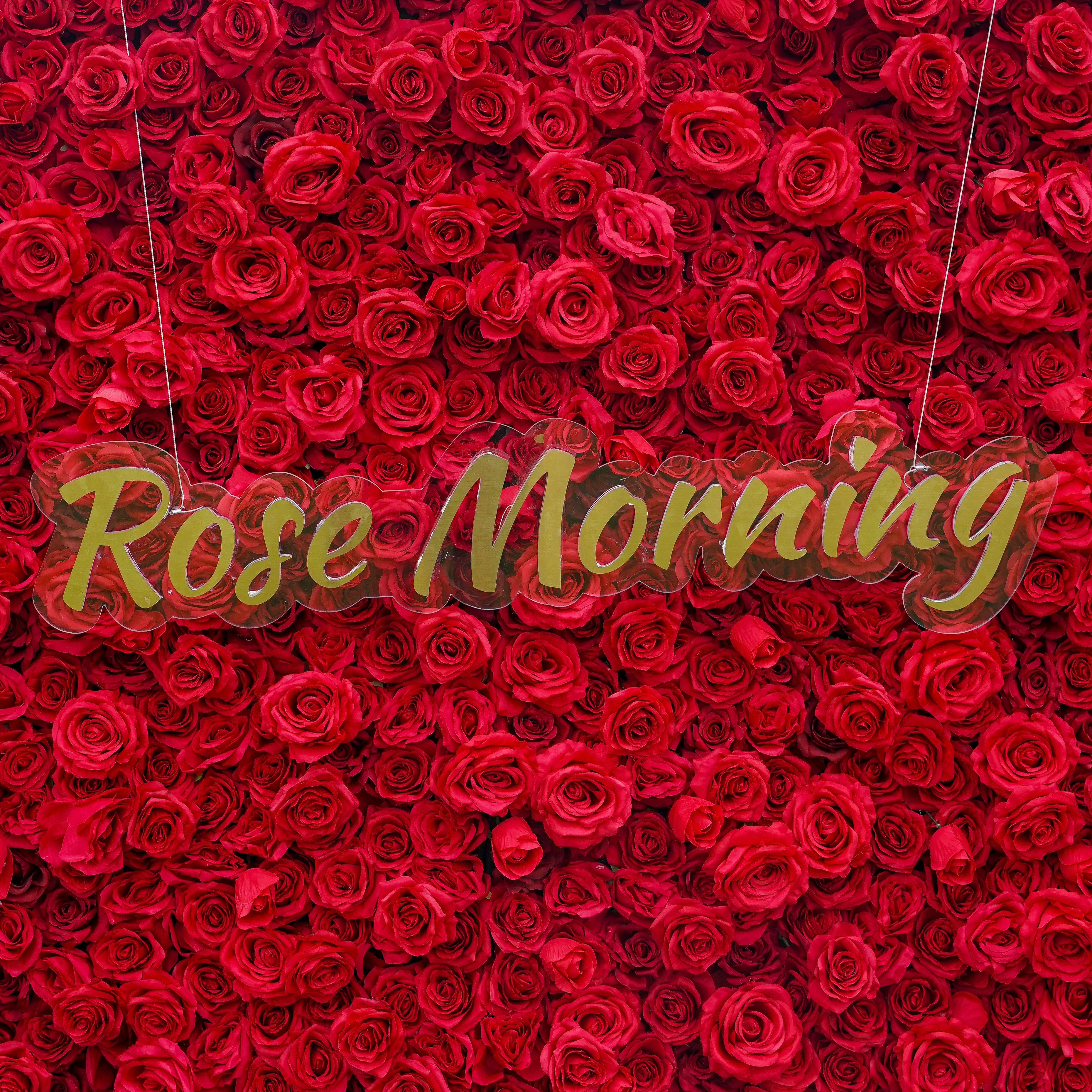 Rose Morning“The flower walls are made of artificial flowers in various colors, layered at different levels to create a lush, elegant and natural look. The exclusive zipper design and roll-up design make it easy to install and remove.”