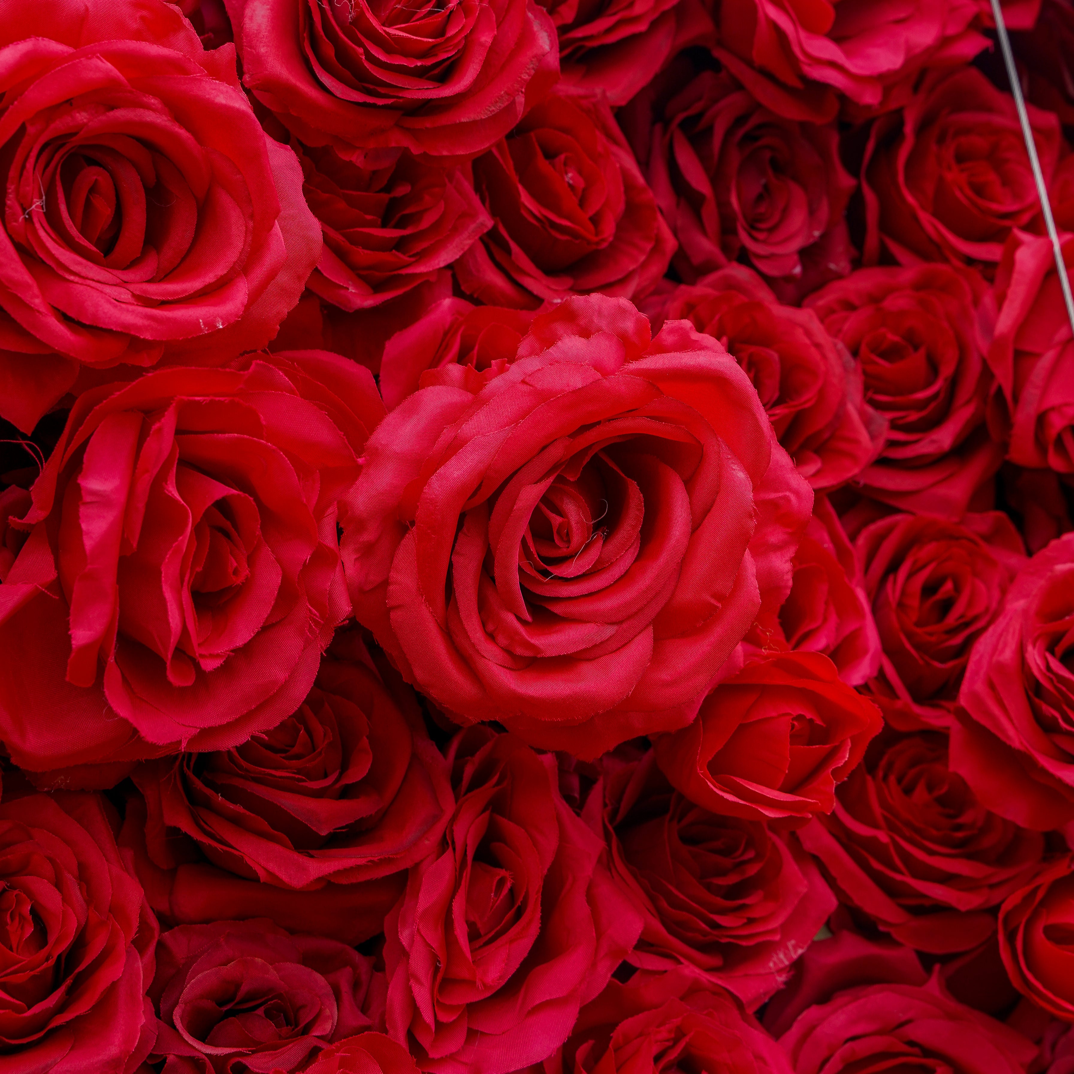Rose Morning“The flower walls are made of artificial flowers in various colors, layered at different levels to create a lush, elegant and natural look. The exclusive zipper design and roll-up design make it easy to install and remove.”