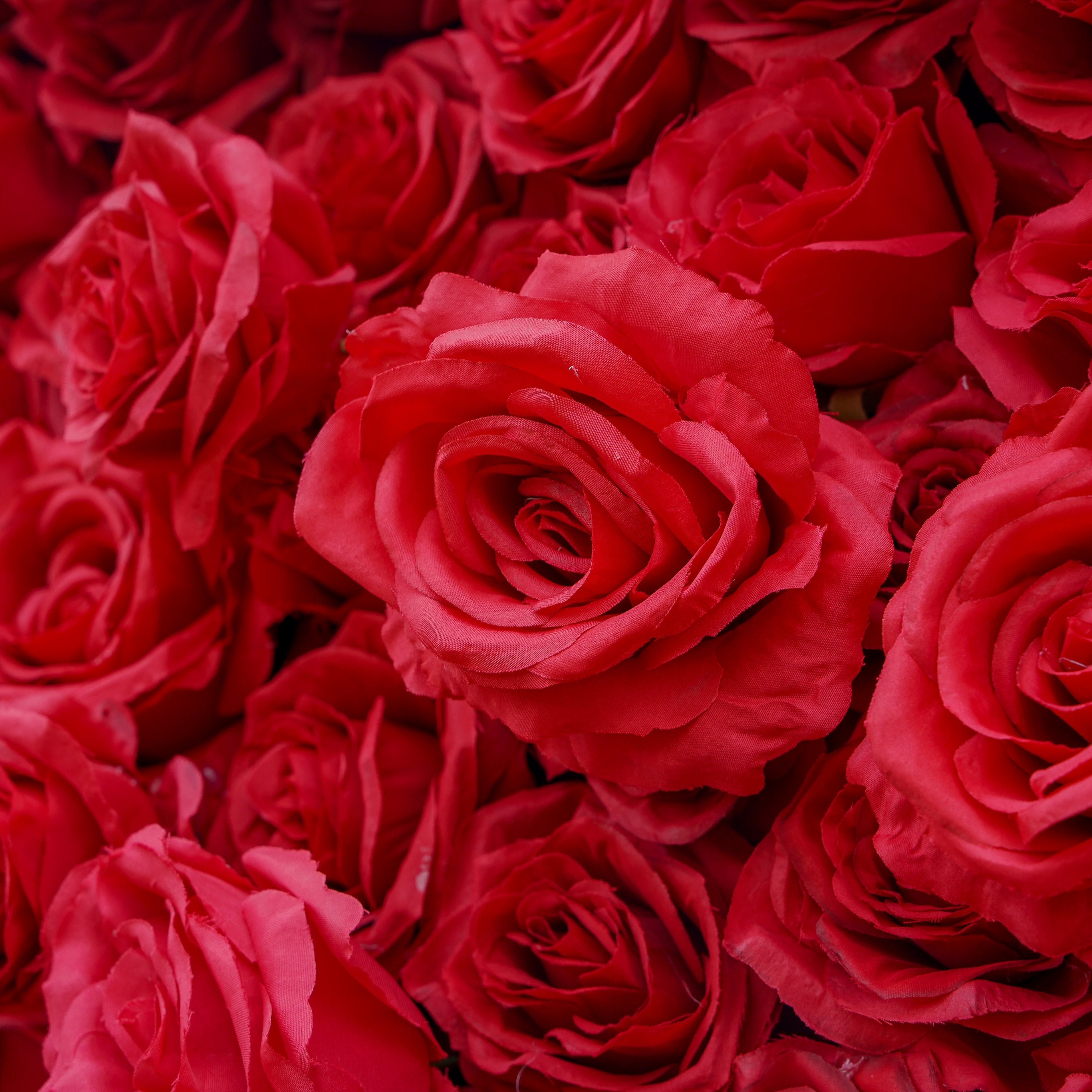 Rose Morning“The flower walls are made of artificial flowers in various colors, layered at different levels to create a lush, elegant and natural look. The exclusive zipper design and roll-up design make it easy to install and remove.”