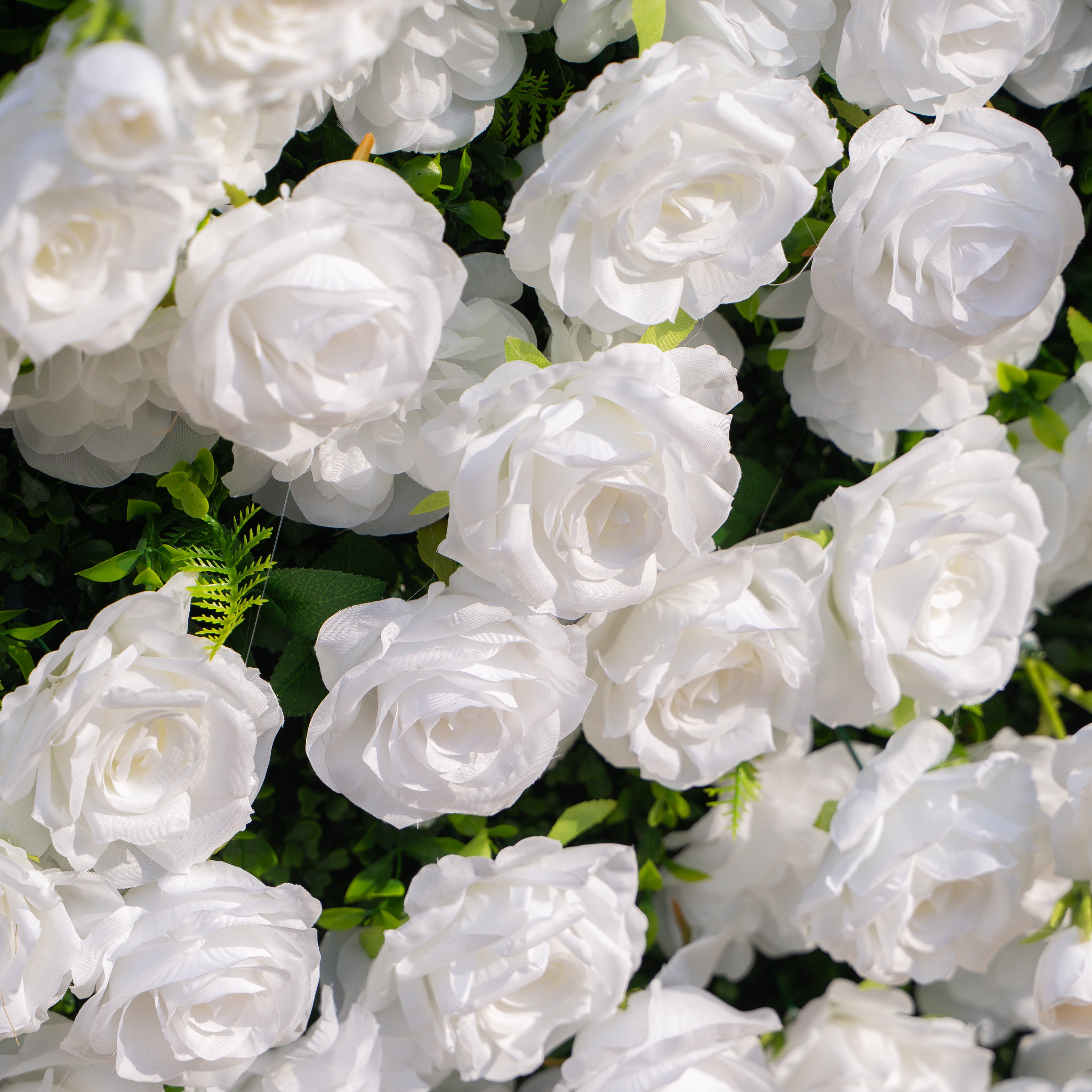 Zephira: 3D Elegant White Silk Rose Flower Wall Roll-Up Fabric Backdrop for Luxury Weddings & Events