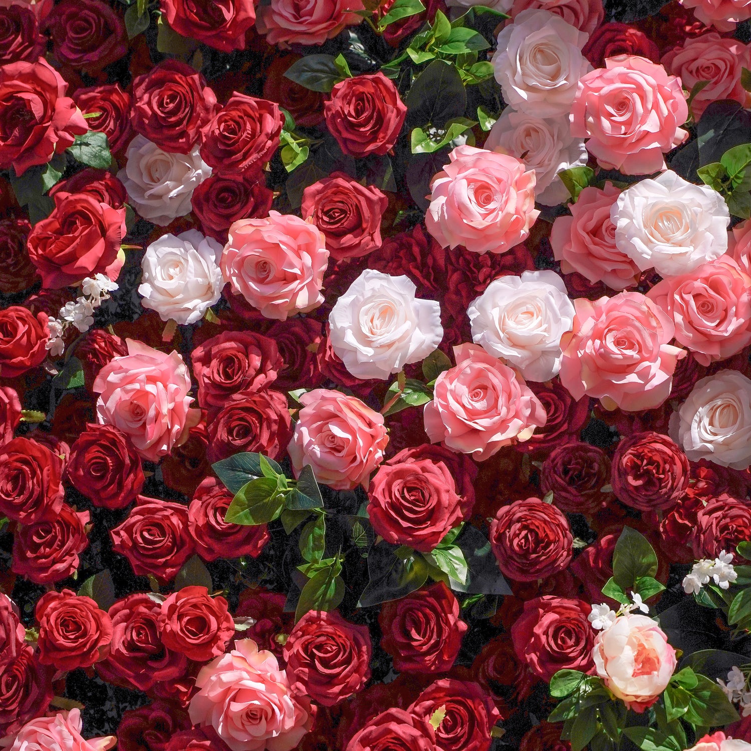 Zita:5D Fabric Artificial rolling up curtain flower wall Rose Morning
