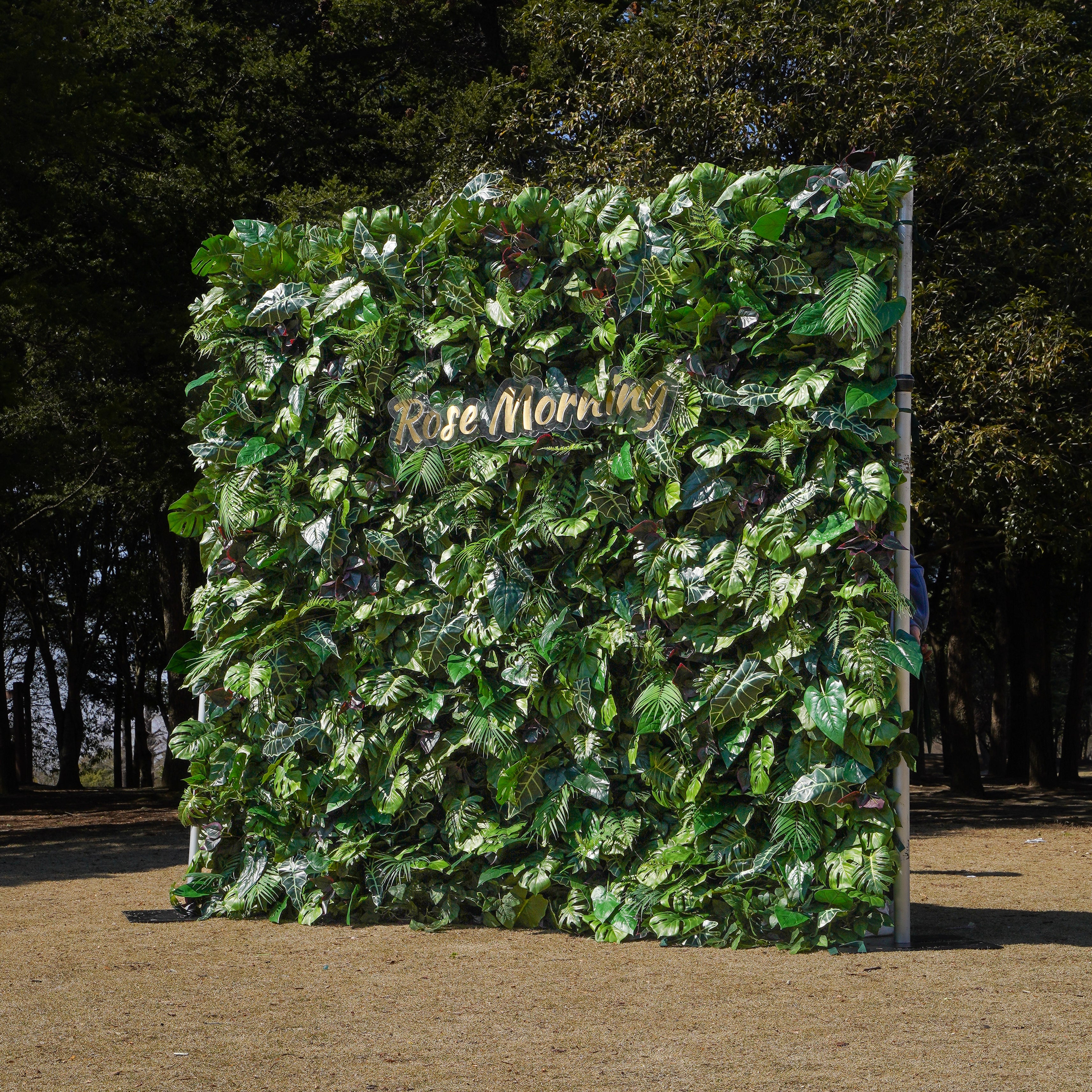 Rose Morning“The flower walls are made of artificial flowers in various colors, layered at different levels to create a lush, elegant and natural look. The exclusive zipper design and roll-up design make it easy to install and remove.”