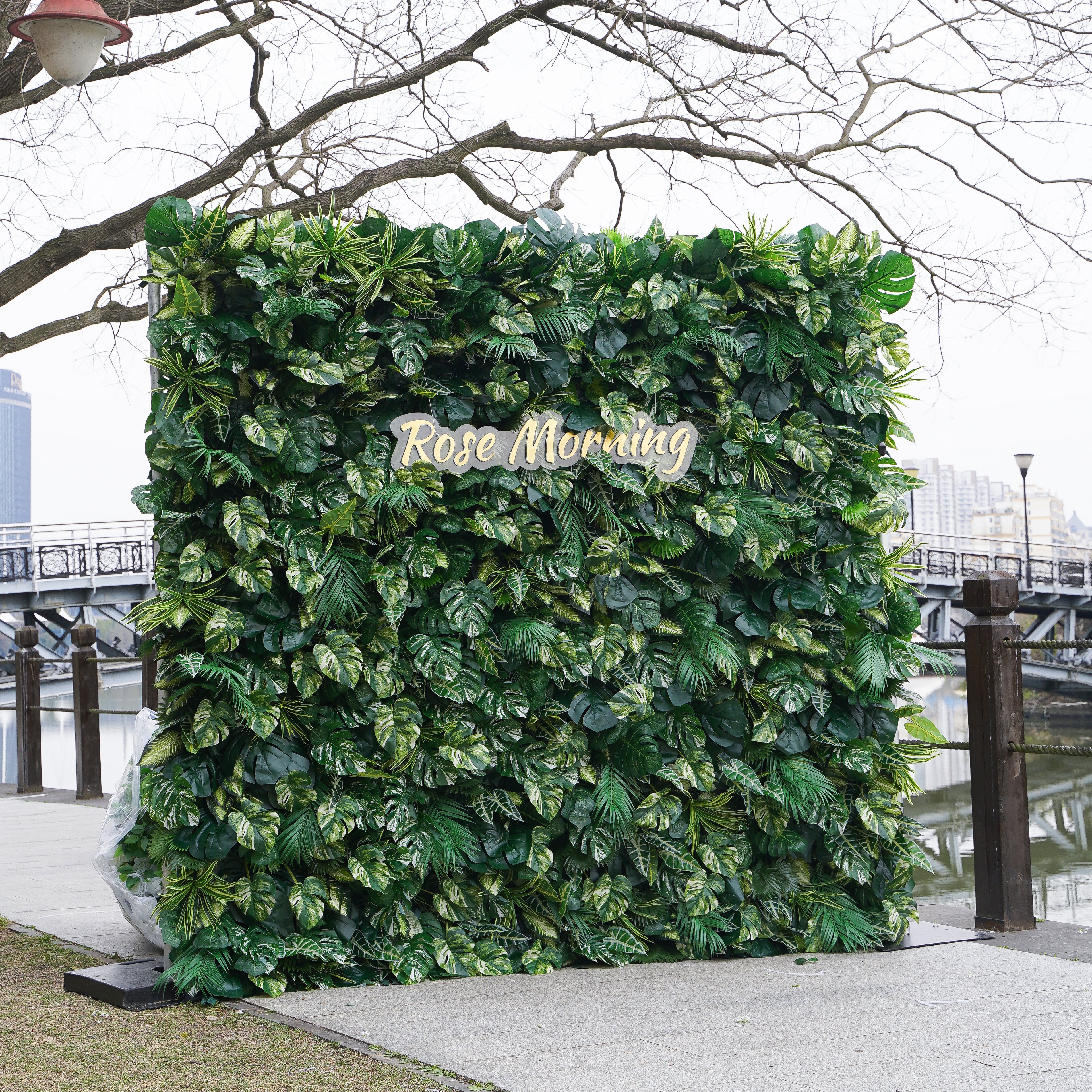 Meet: 5D 2023 Fabric Artificial Green Wall Rolling Up Curtain Green Wall R800 - 8ft*8ft Rose Morning
