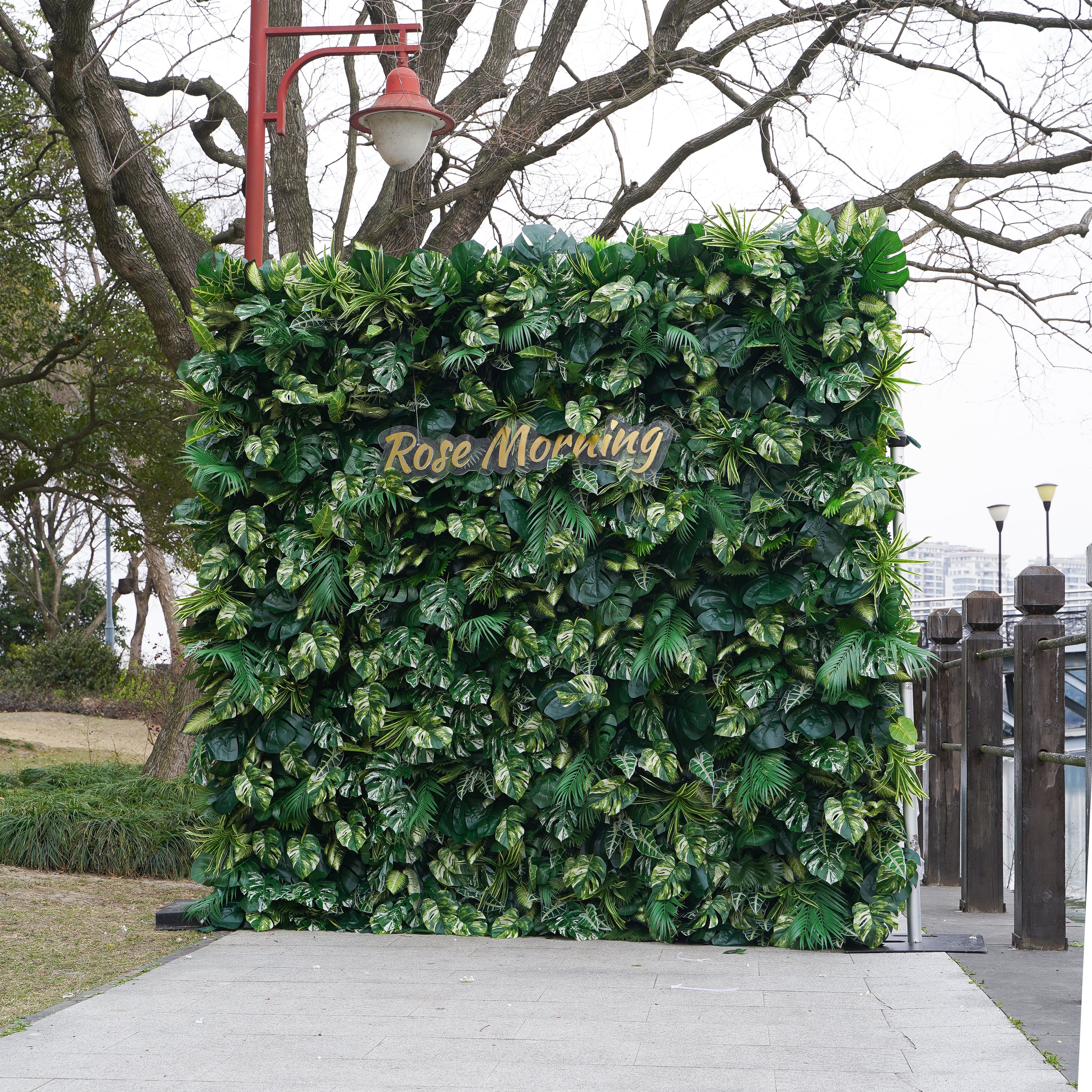 Meet: 5D 2023 Fabric Artificial Green Wall Rolling Up Curtain Green Wall R800 - 8ft*8ft Rose Morning