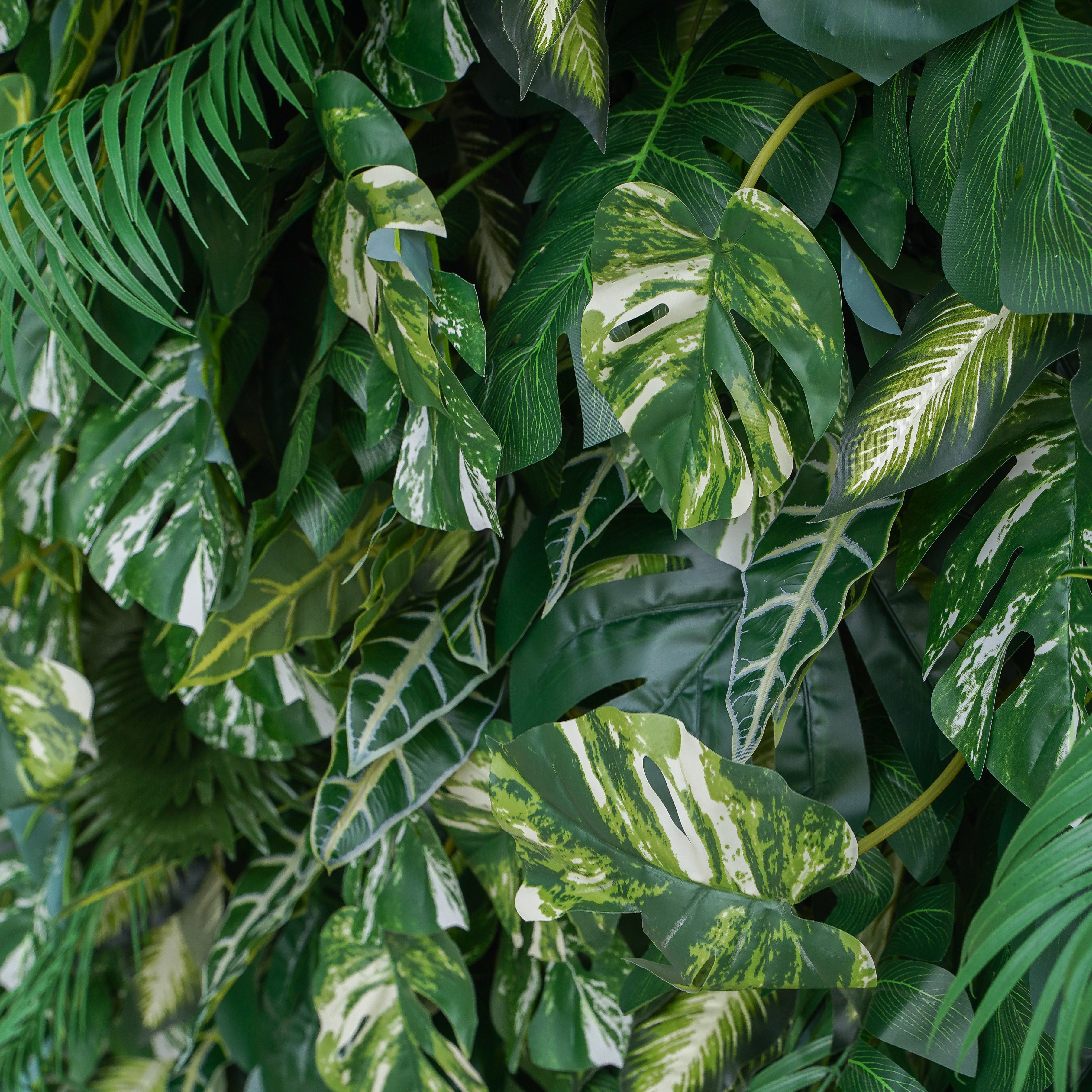 Meet: 5D 2023 Fabric Artificial Green Wall Rolling Up Curtain Green Wall R800 - 8ft*8ft Rose Morning