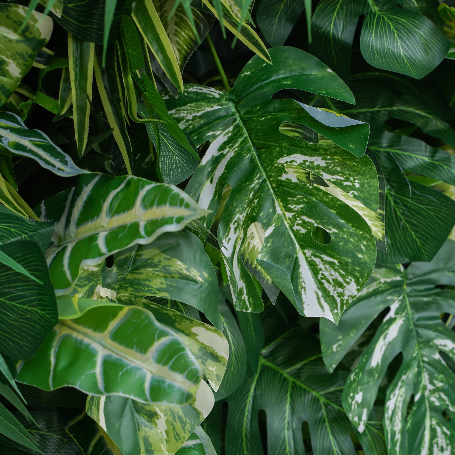 Meet: 5D 2023 Fabric Artificial Green Wall Rolling Up Curtain Green Wall R800 - 8ft*8ft Rose Morning