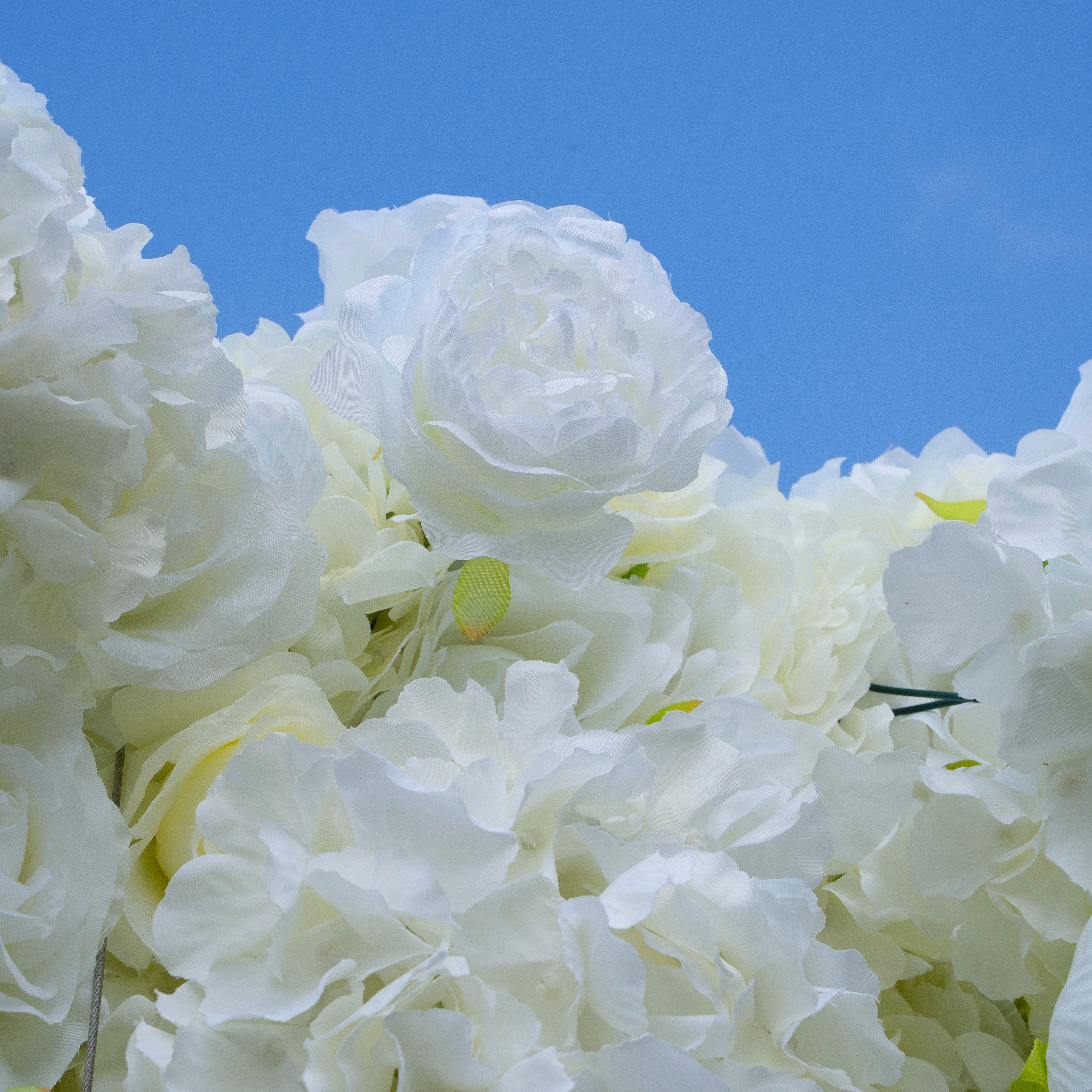 Rose Morning“The flower walls are made of artificial flowers in various colors, layered at different levels to create a lush, elegant and natural look. The exclusive zipper design and roll-up design make it easy to install and remove.”