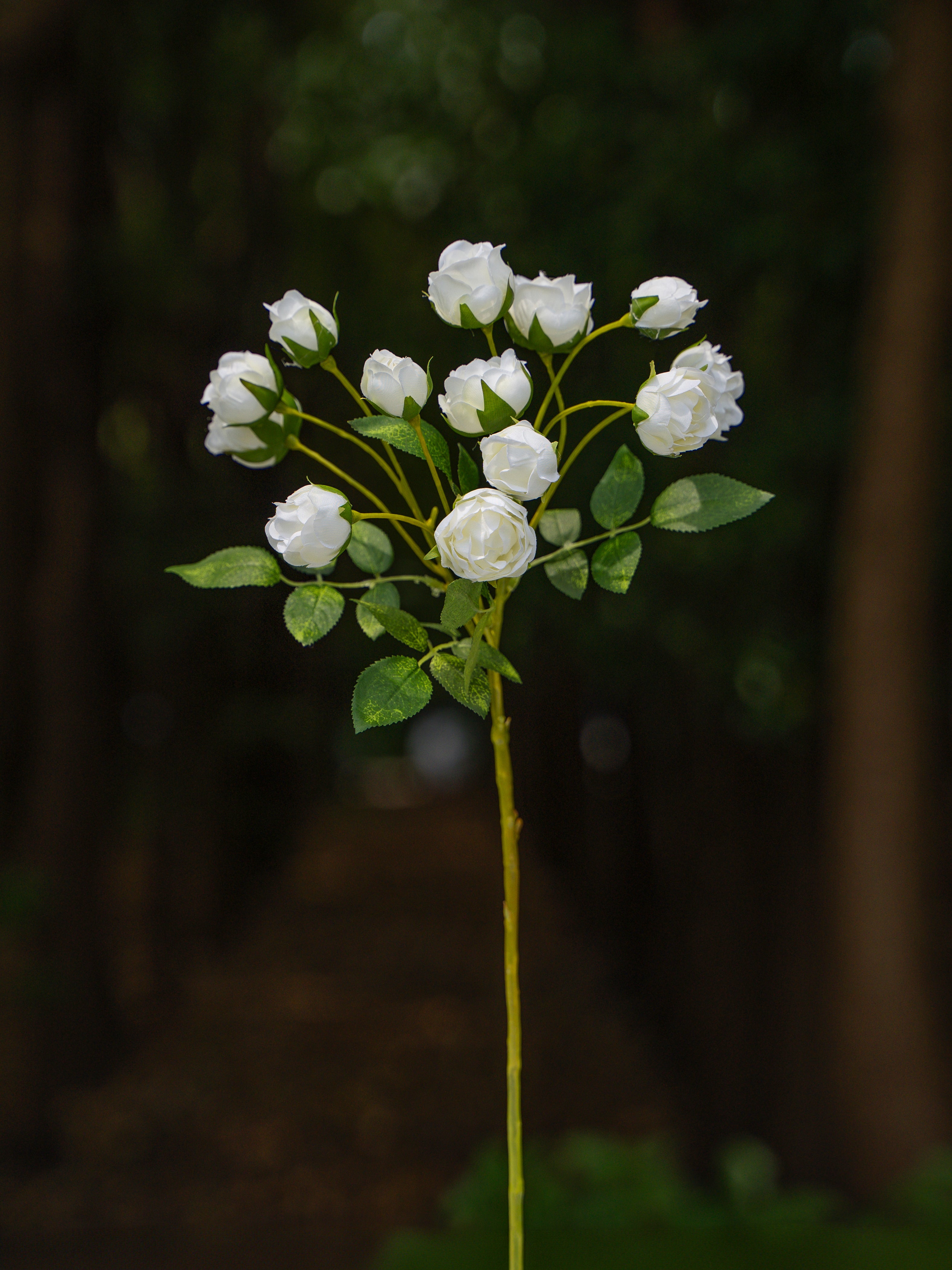 13-headed Spray Rose (White)-22&quot; Tall