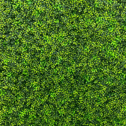 Lucky: 2D  Fabric Artificial Green Wall Rolling Up Curtain Green Wall R168 - 8ft*8ft Rose Morning