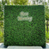 Lucky: 2D  Fabric Artificial Green Wall Rolling Up Curtain Green Wall R168 - 8ft*8ft Rose Morning