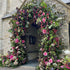 Carolina : 2023 New Wedding Party Background Floral Arch Decoration include Frame --R880 Rose Morning