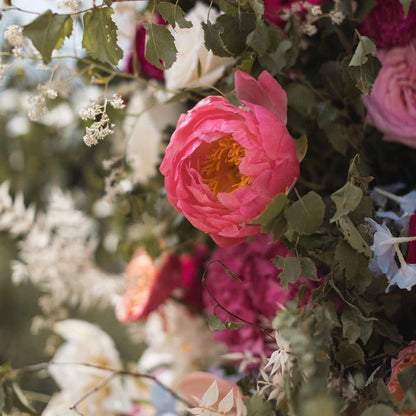 Vonne : Rose Morning Zipper Floral Arch Decoration Including Frame Rose Morning