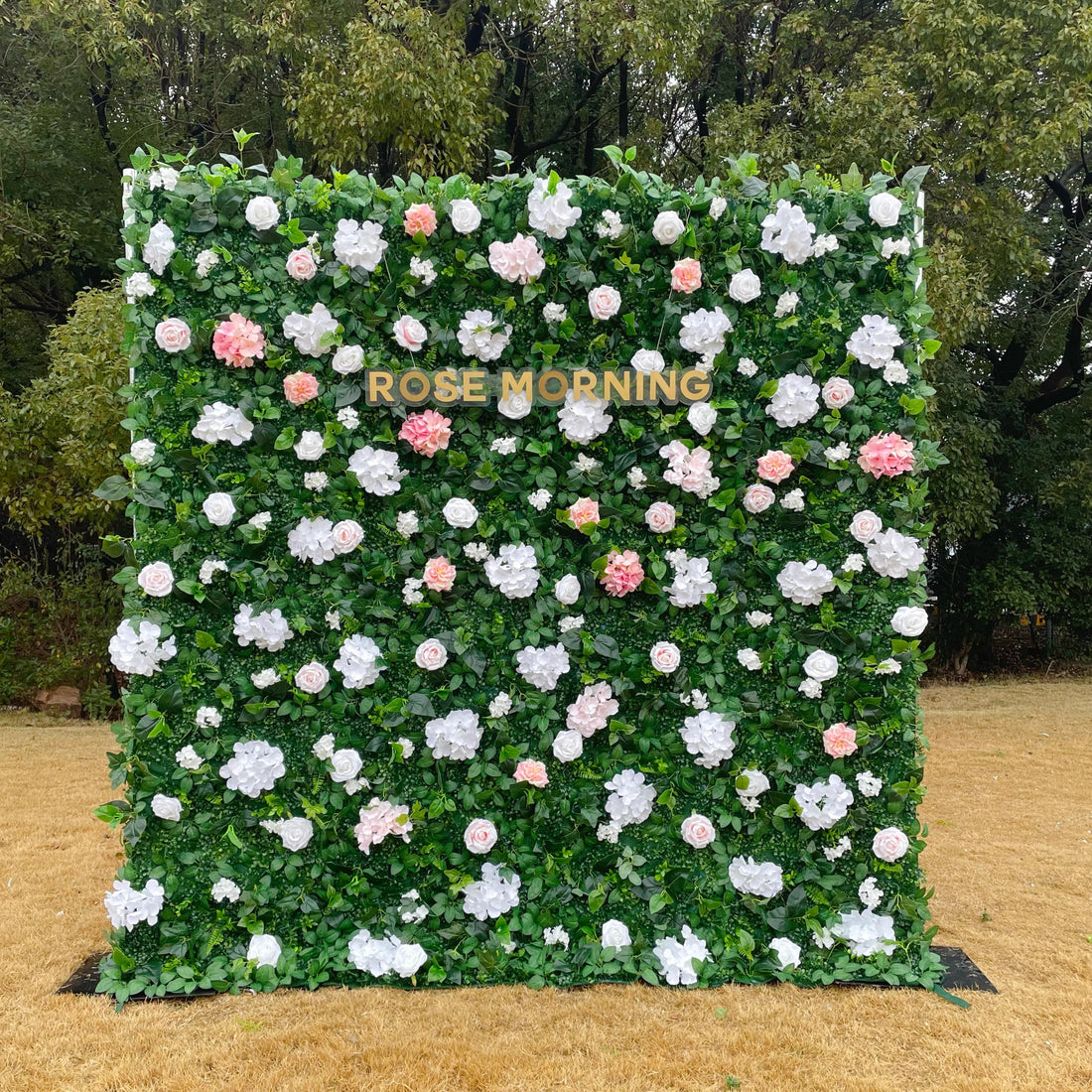 Diana：2D Fabric Artificial zip up curtain flower wall 8ft*8ft (SHIP TO USA ONLY) Rose Morning