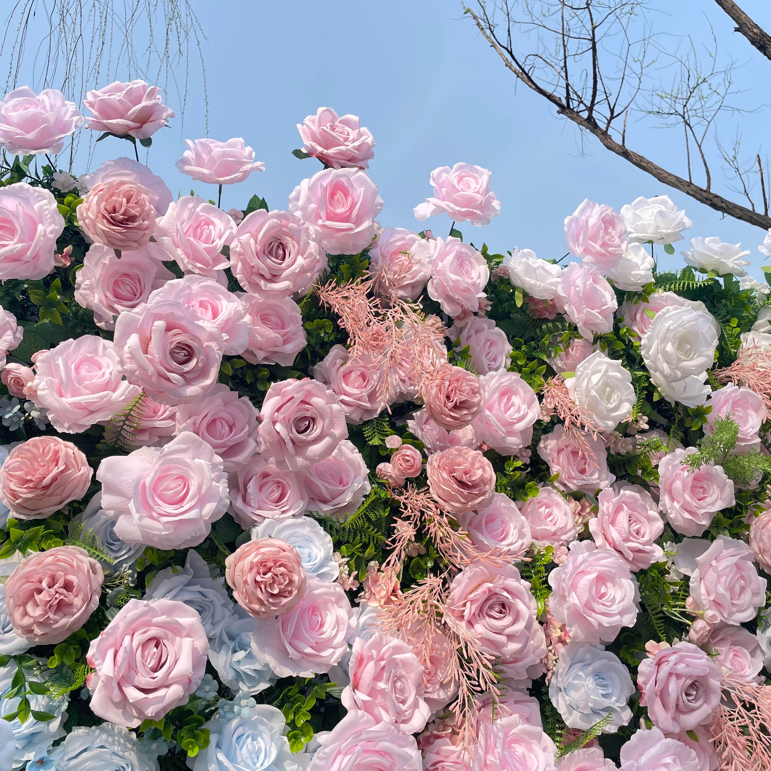 Hope：5D Fabric Artificial rolling up curtain flower wall Rose Morning