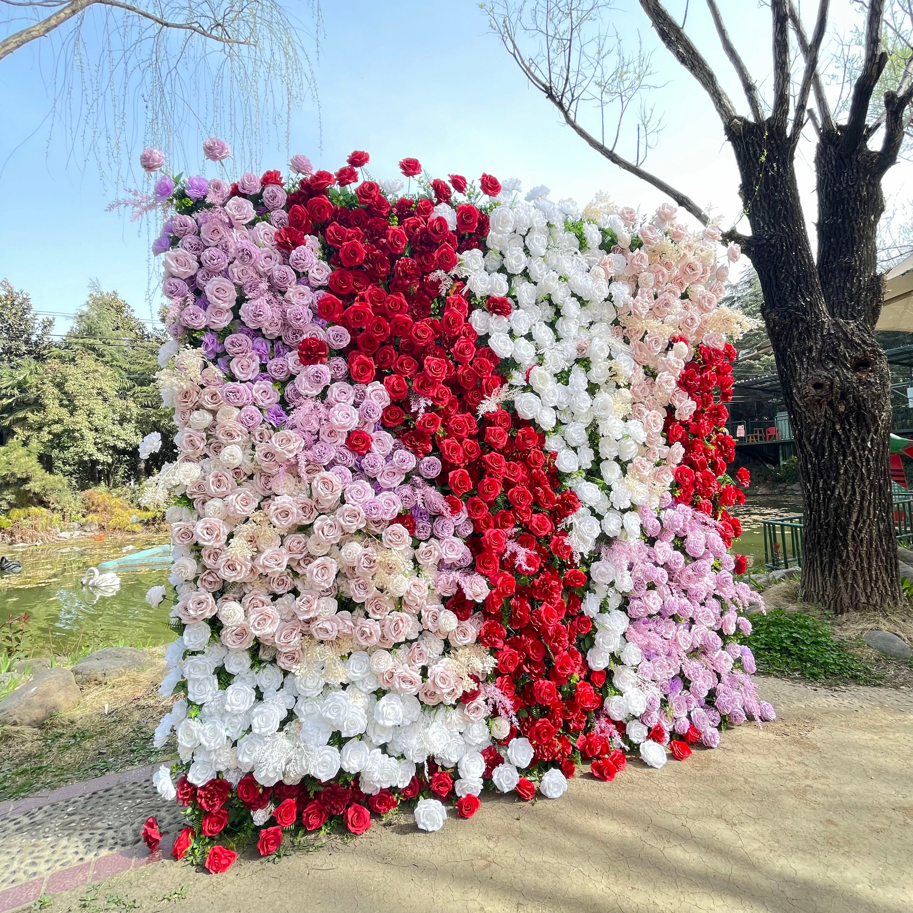 Muma：5D Fabric Artificial rolling up curtain flower wall Rose Morning